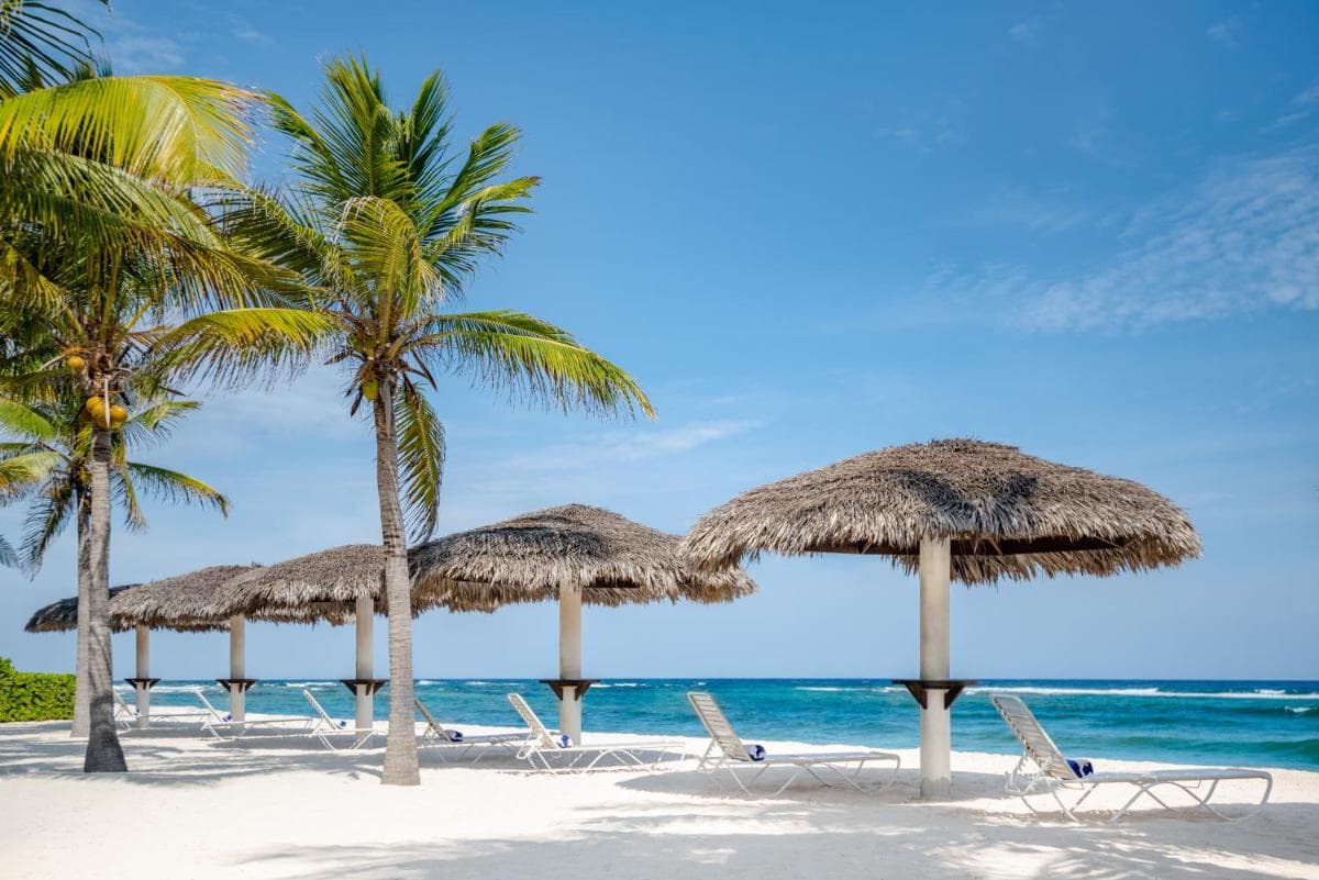 Le Soleil D'or - Photo 23