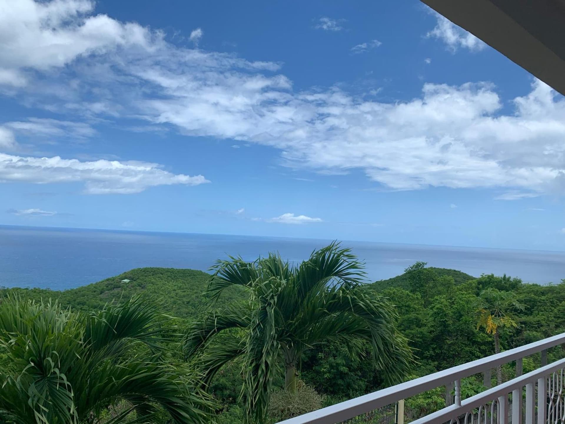 PARADIS AU SOLEIL, vue panoramique sur mer - Photo 13