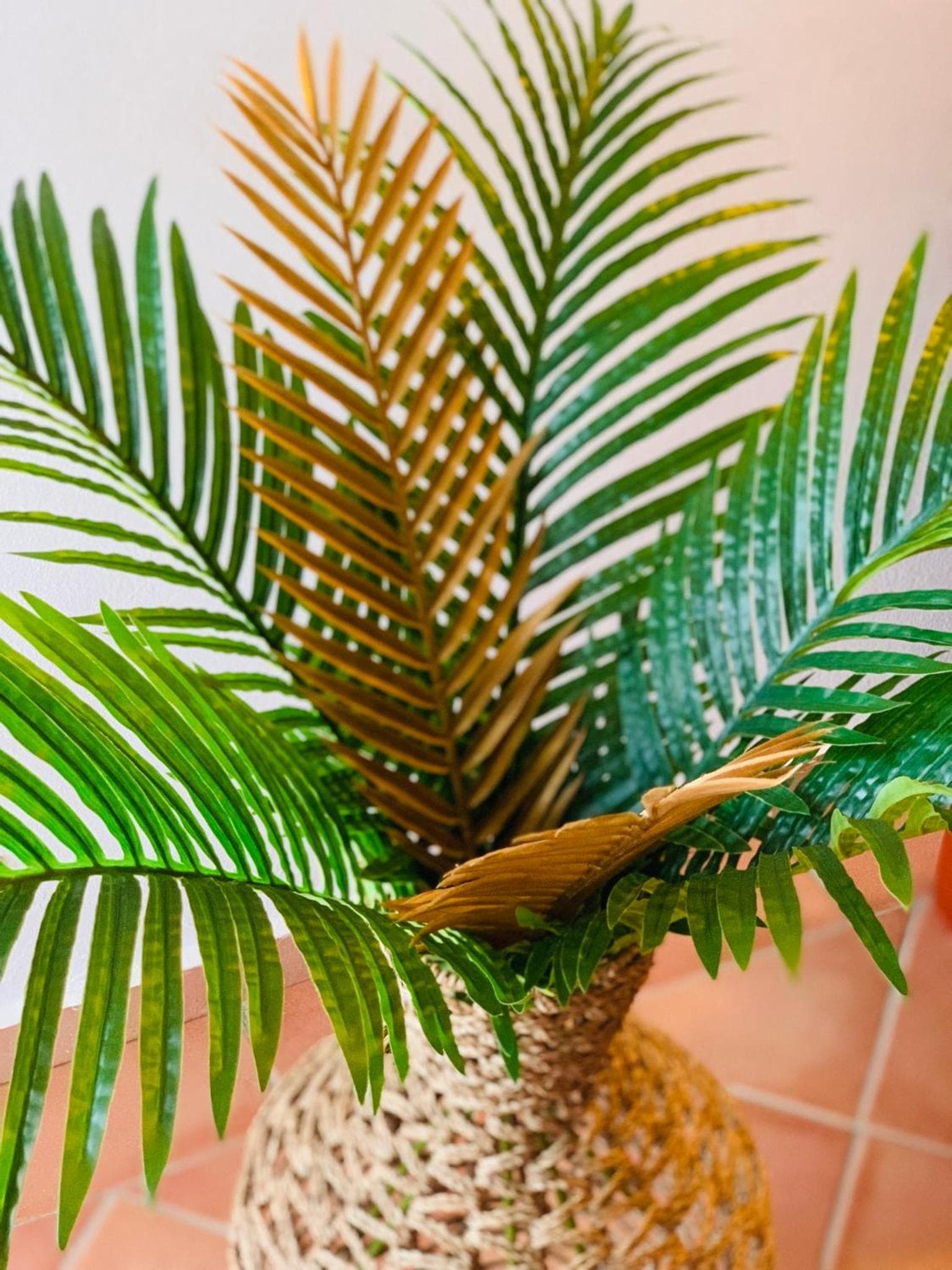 PARADIS AU SOLEIL, vue panoramique sur mer - Photo 10