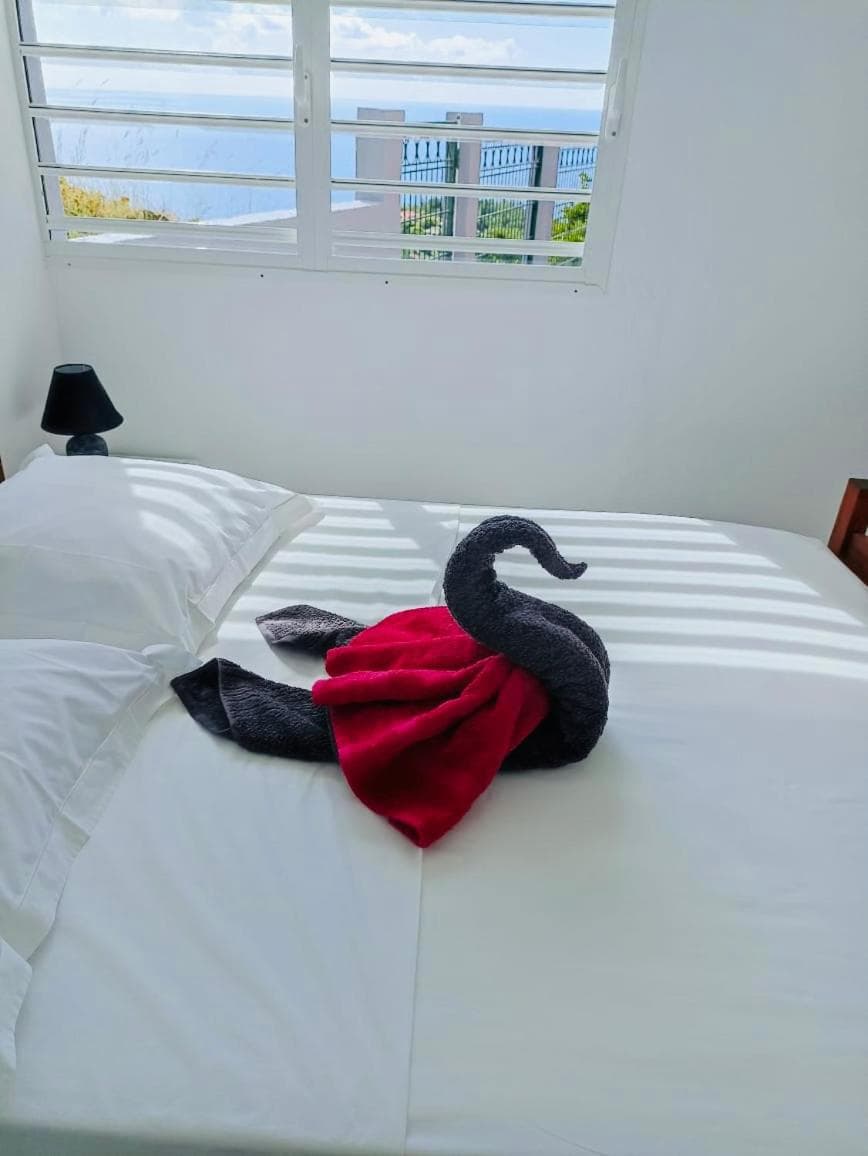 PARADIS AU SOLEIL, vue panoramique sur mer - Photo 62