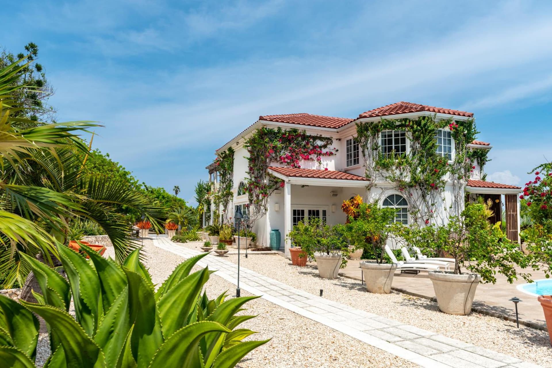 Le Soleil D'or - Photo 47