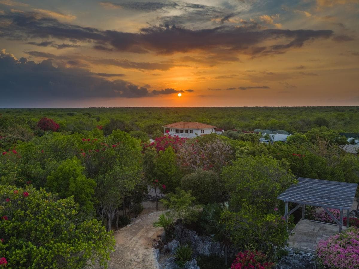 Le Soleil D'or - Photo 4