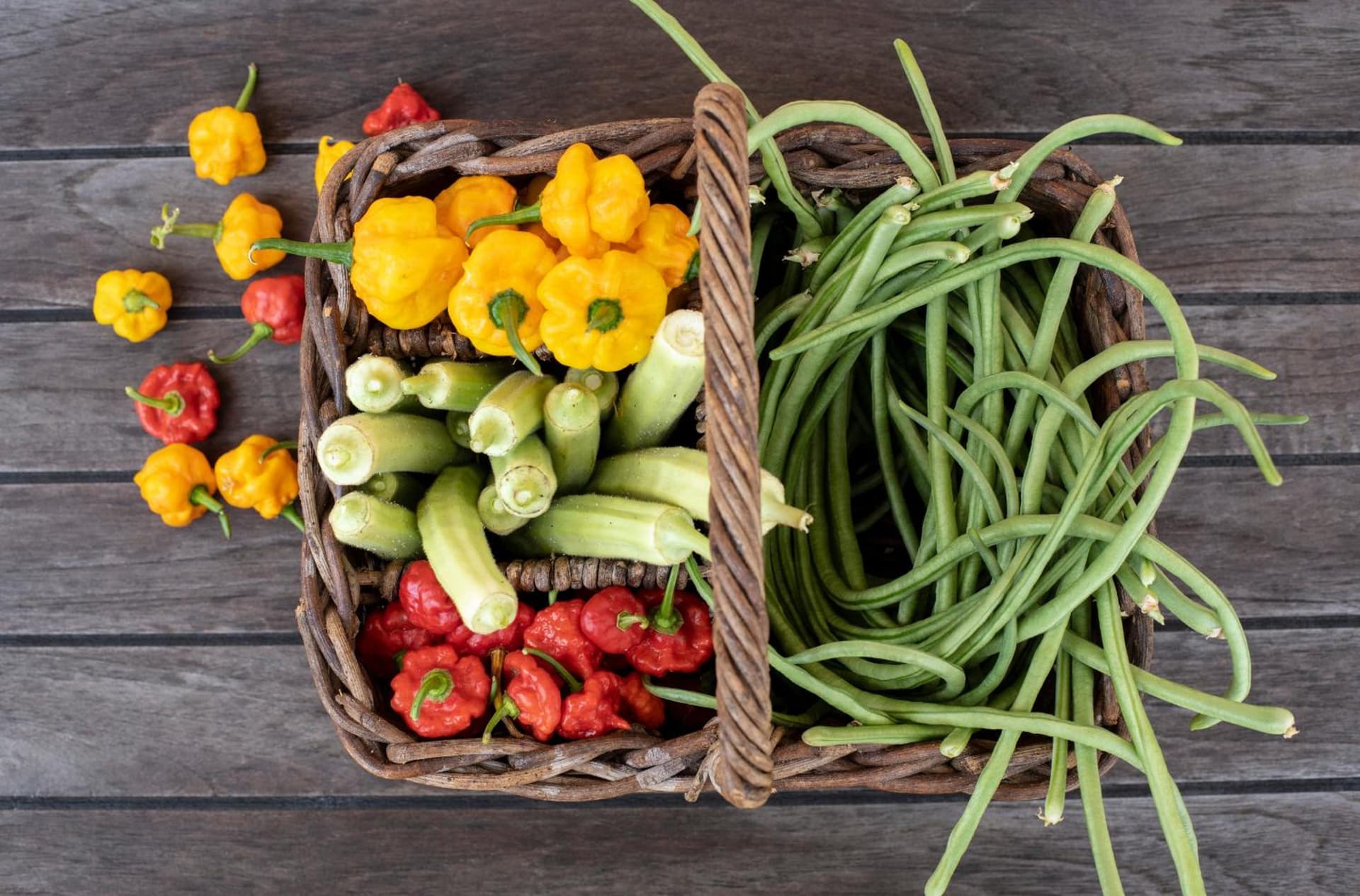 Le Soleil D'or - Photo 43