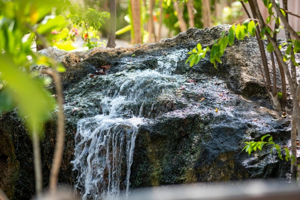 Le Soleil D'or - Photo 53