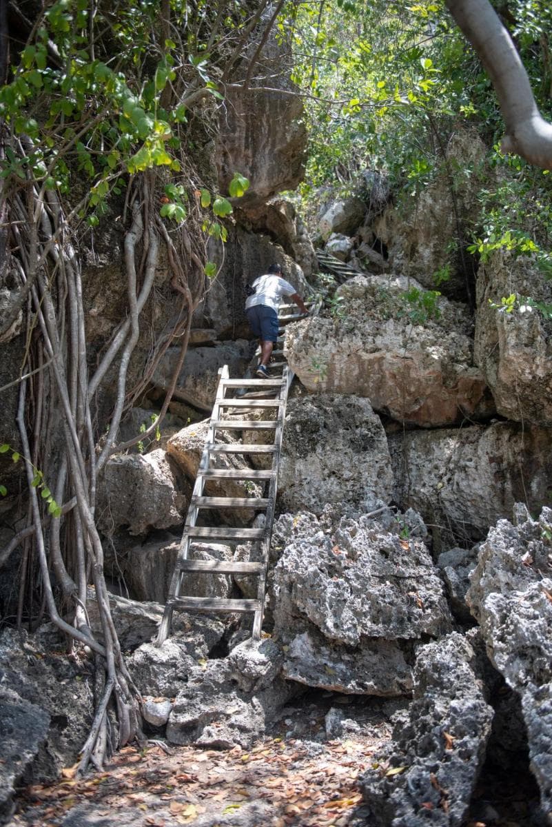 Le Soleil D'or - Photo 44