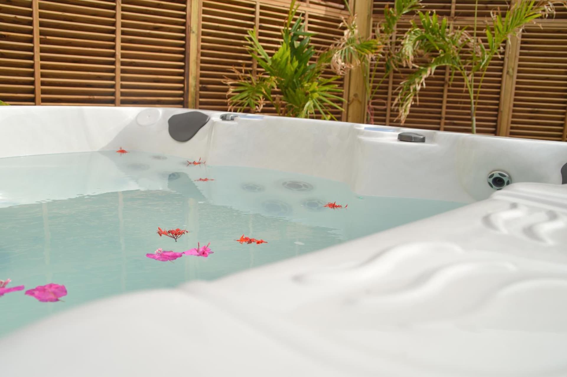 Tante Arlette - Photo 2