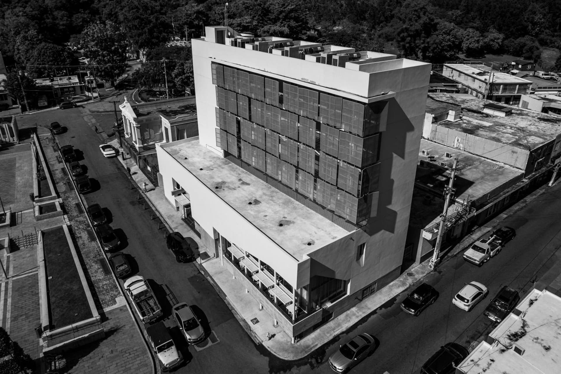 Royal Delonix - Photo 2