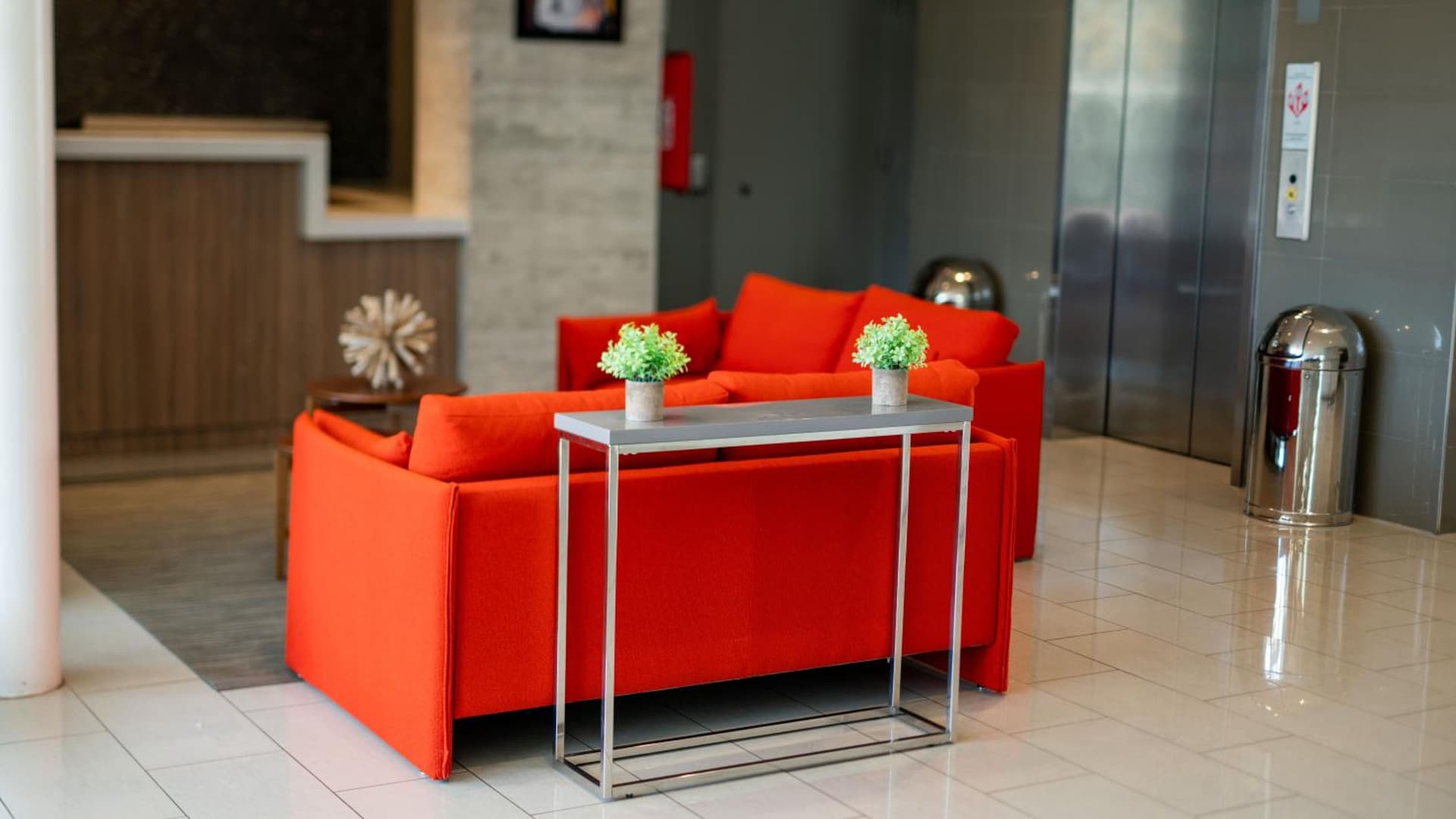 Royal Delonix - Photo 4