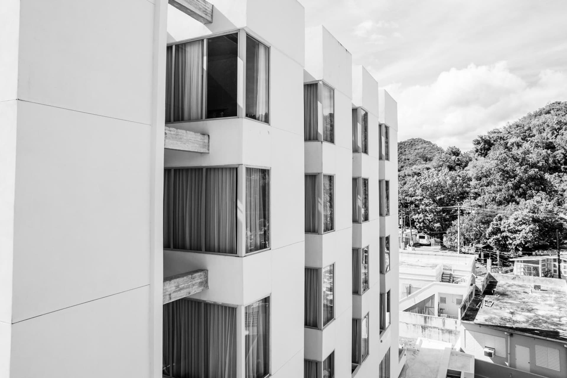 Royal Delonix - Photo 6