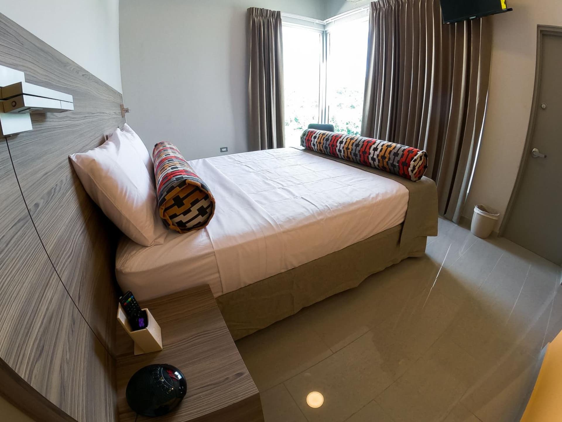 Royal Delonix - Photo 7