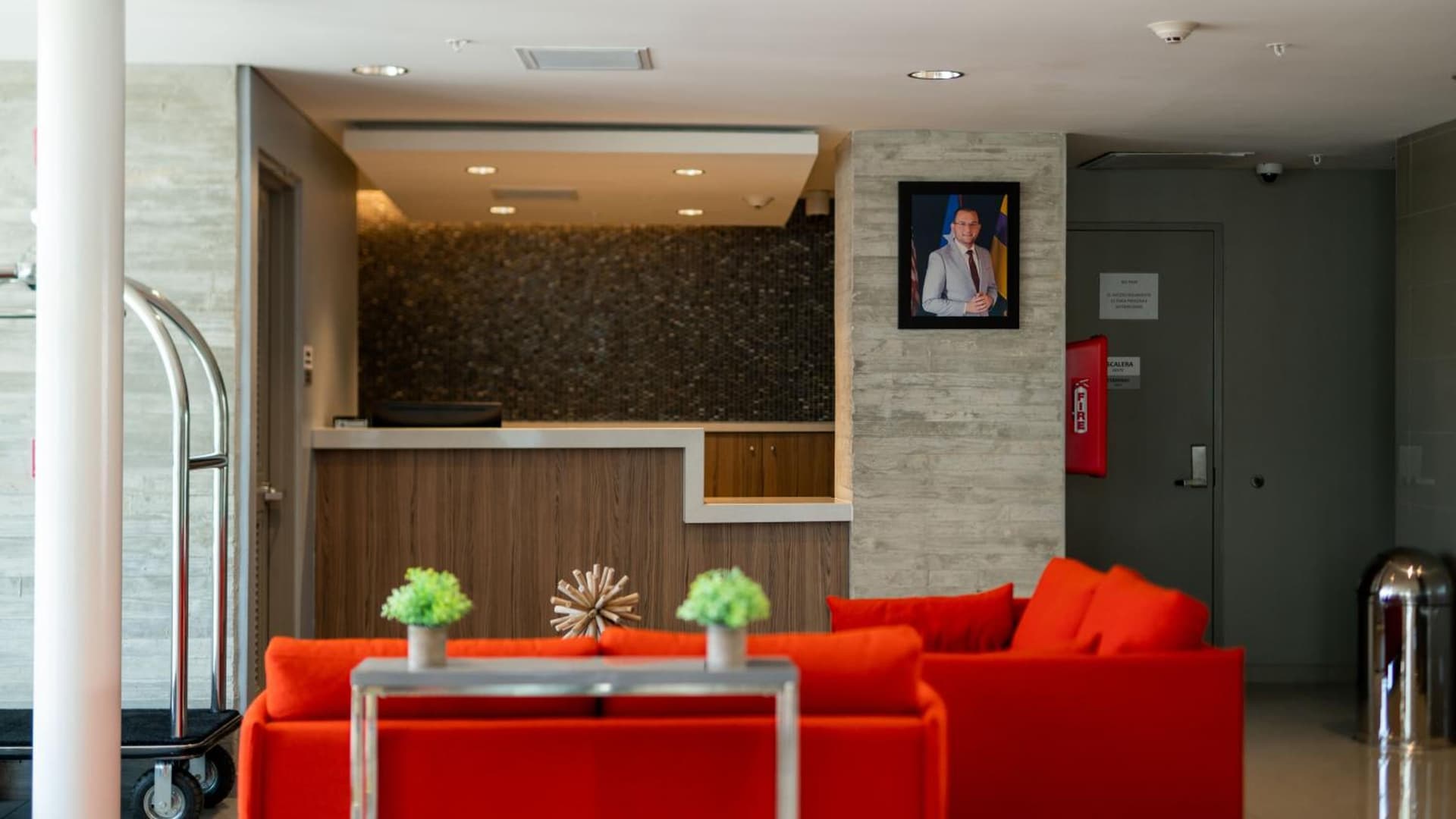 Royal Delonix - Photo 8