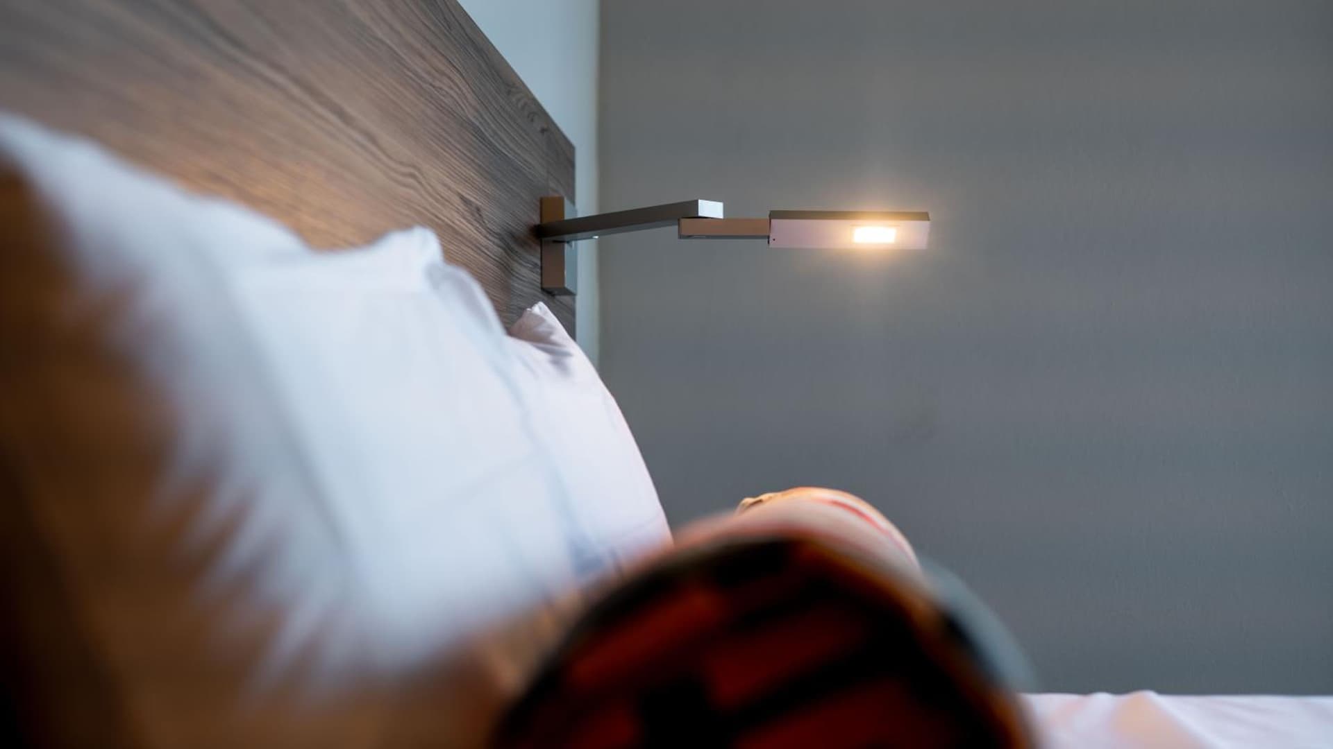 Royal Delonix - Photo 11