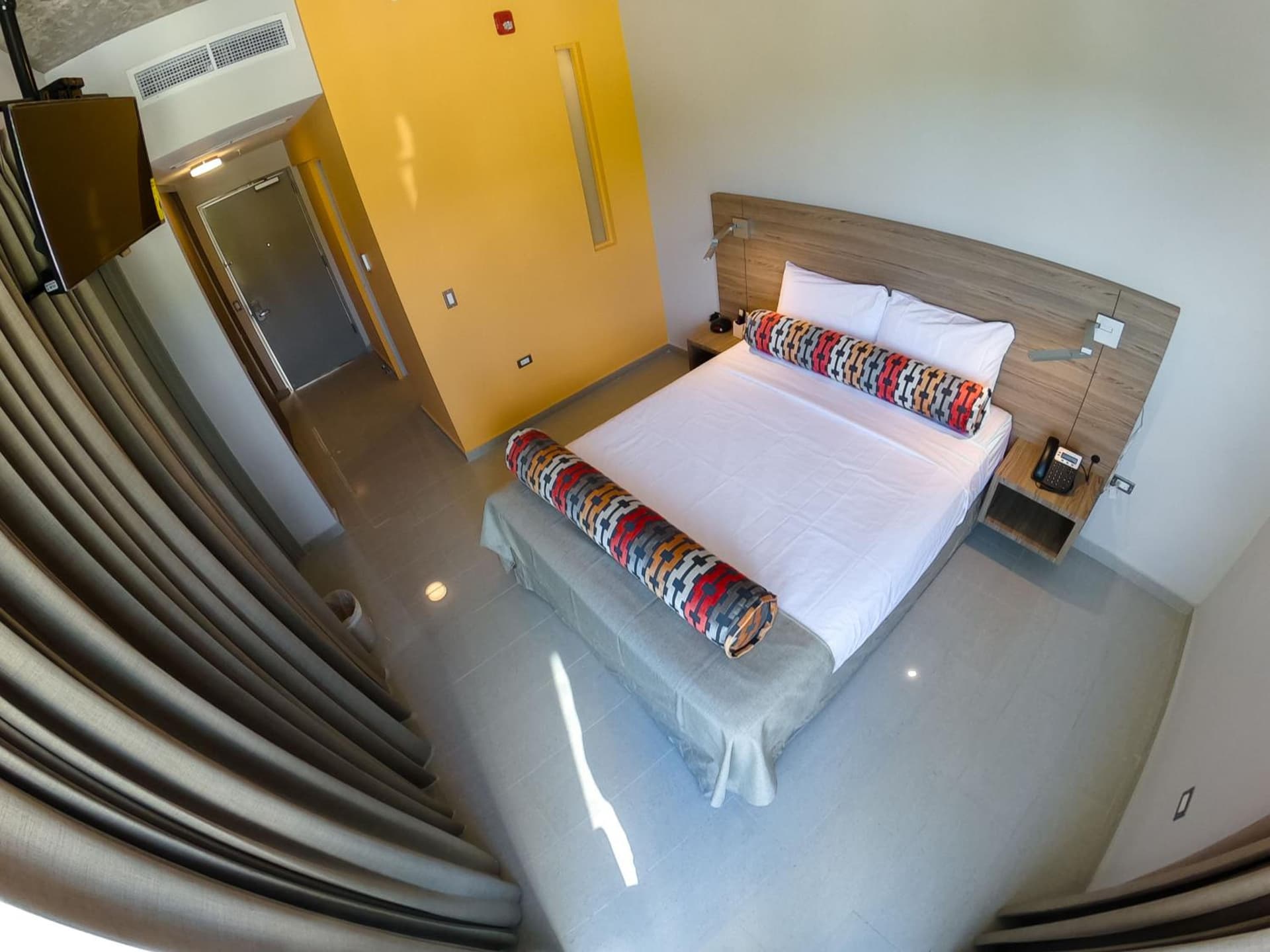 Royal Delonix - Photo 17