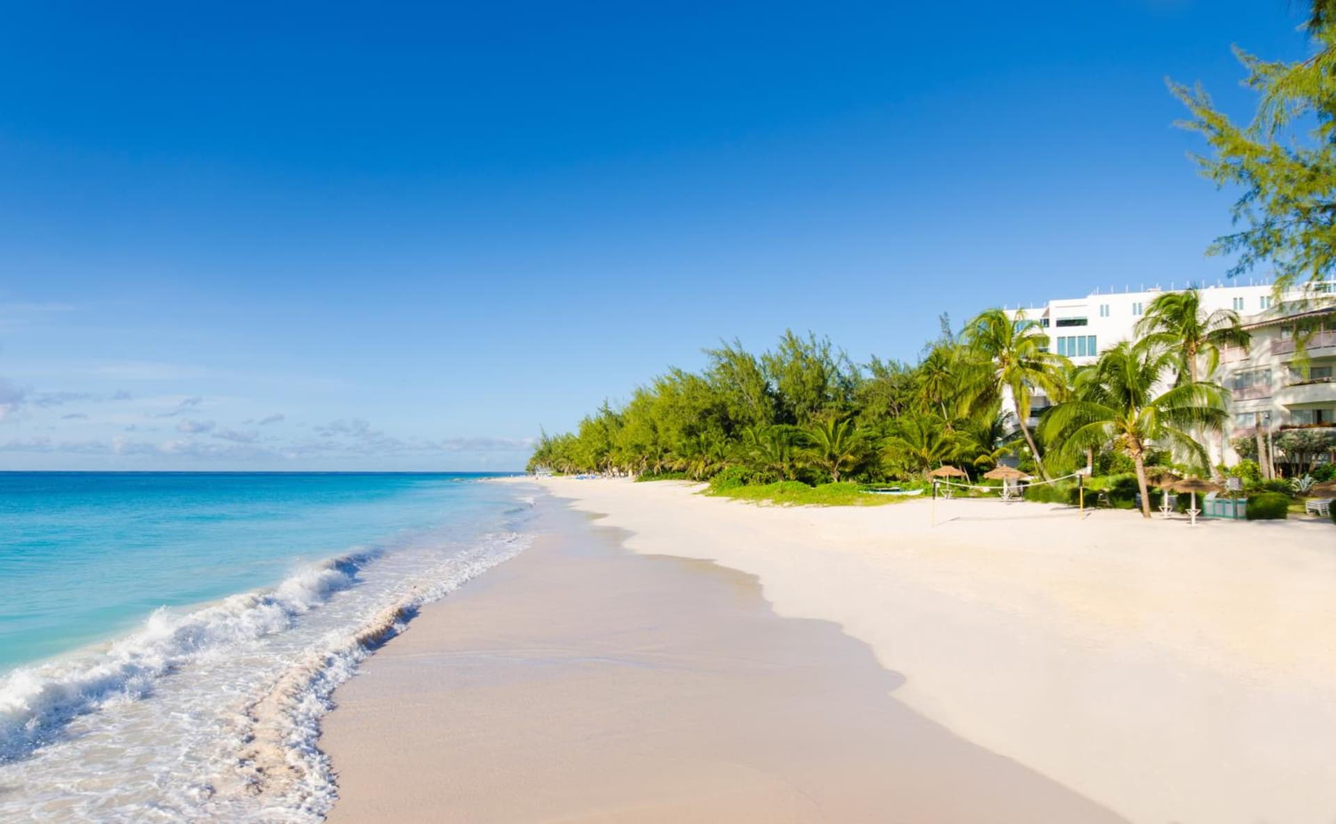 Bougainvillea Barbados - Photo 13