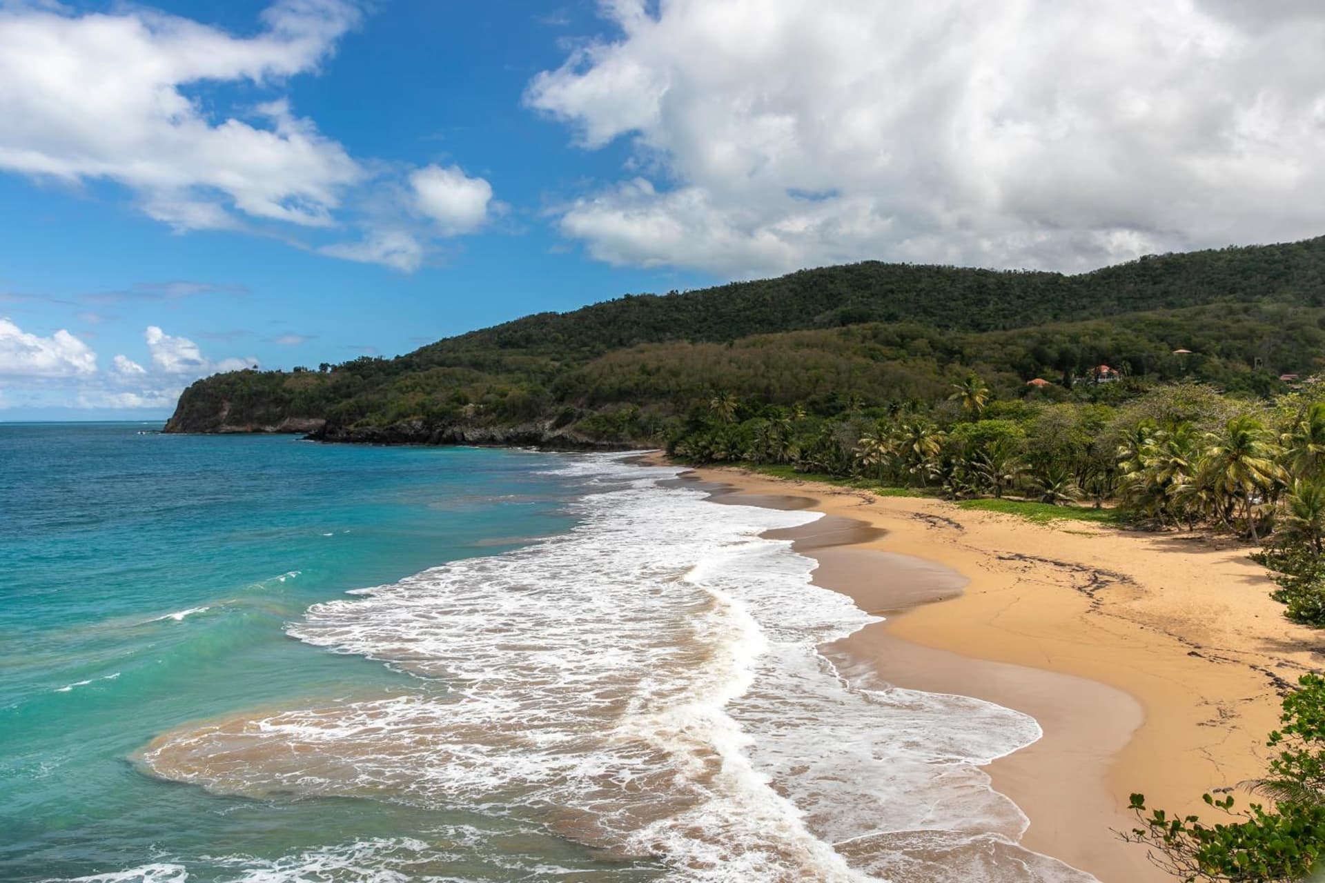 Langley Resort Fort Royal - Photo 93