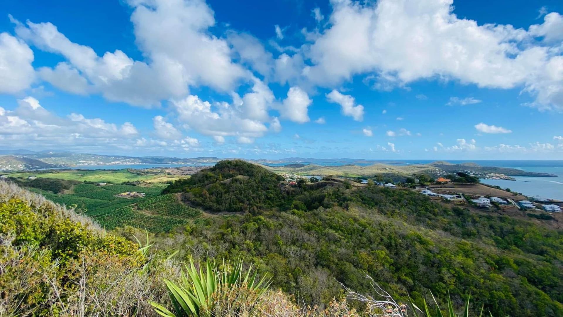 Villa Clémence - Photo 48
