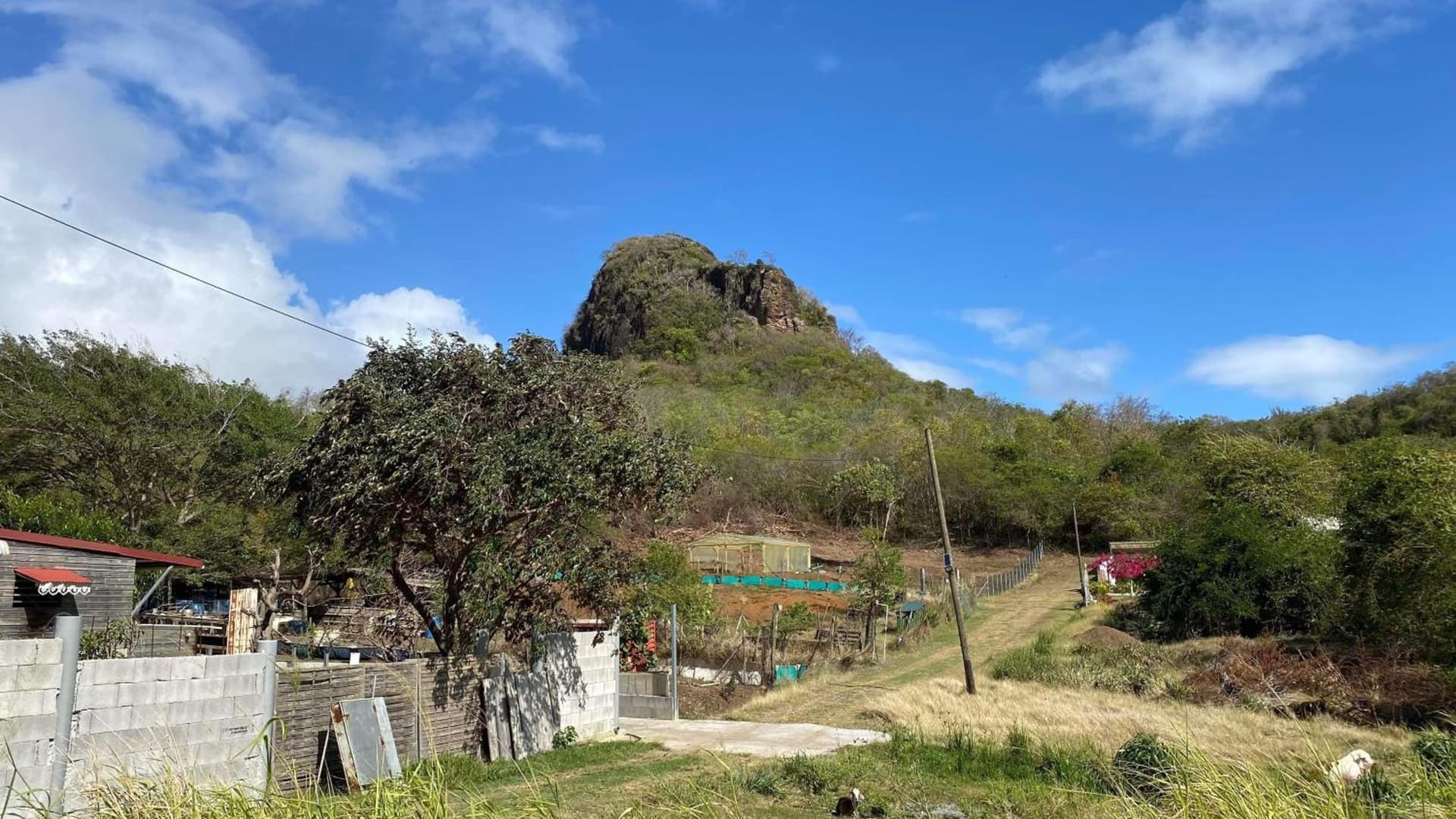 Villa Clémence - Photo 47