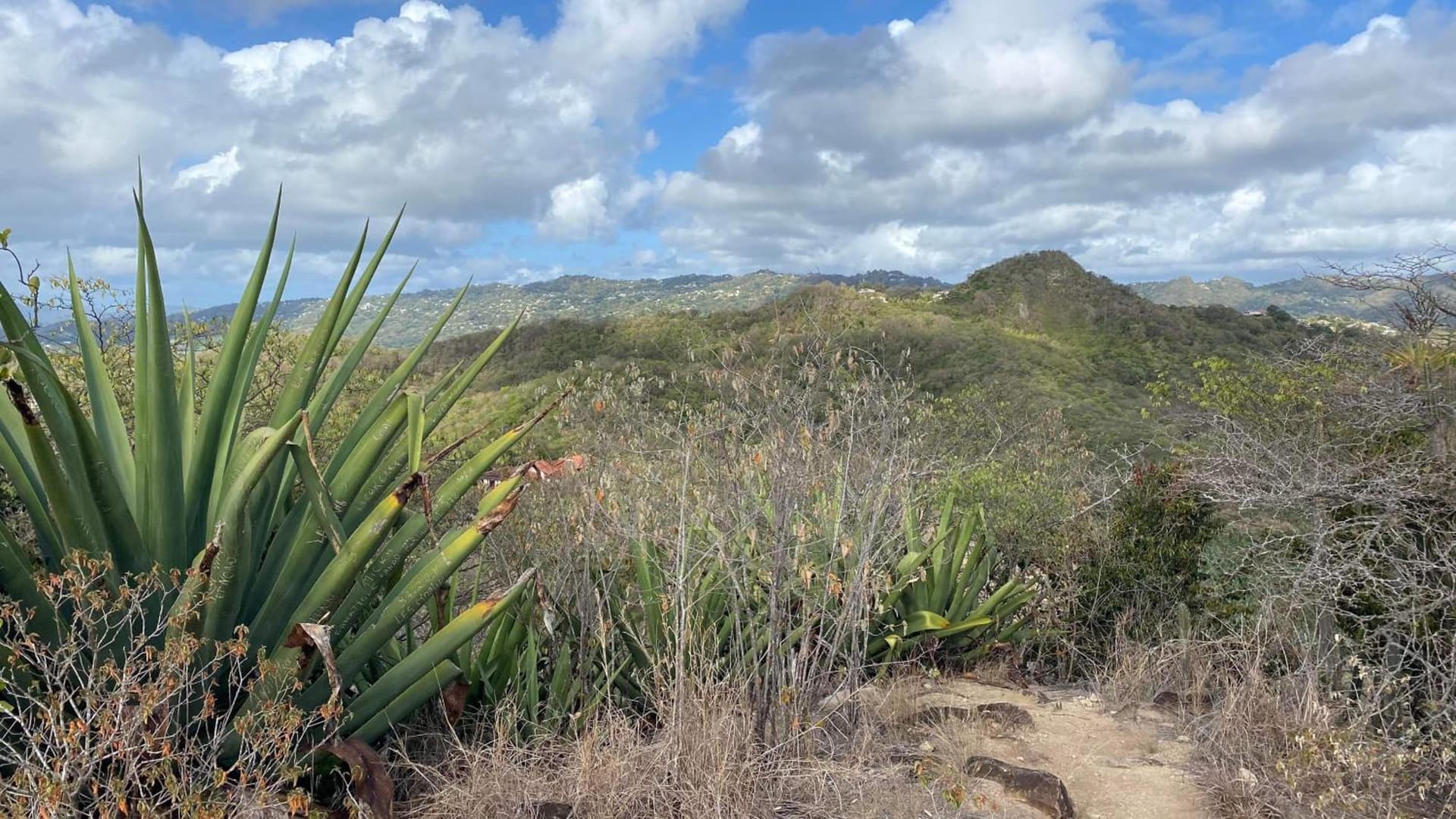 Villa Clémence - Photo 46