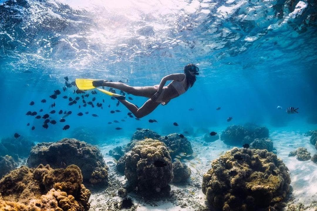 STUDIO LUX KEVY MANGANAO Vue sur Mer, Piscine & Plage privée - Photo 28