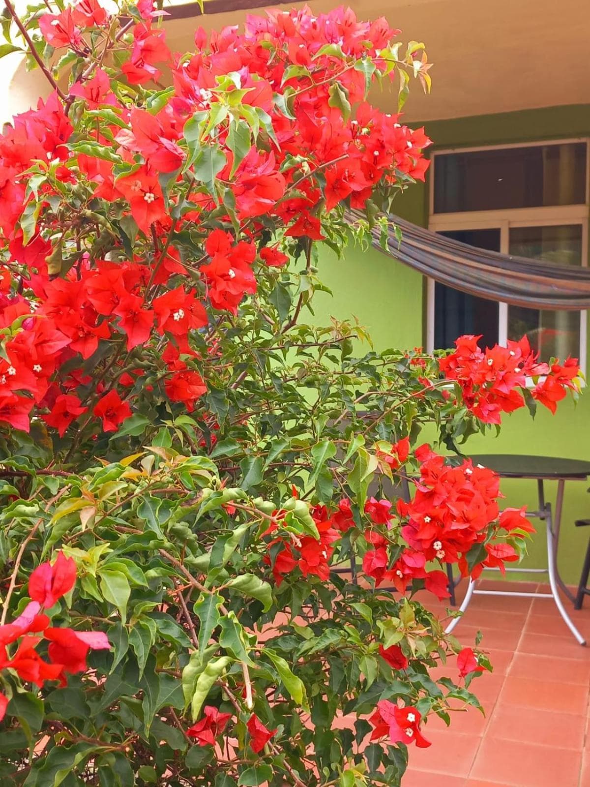 Serenity Lodges Dominica - Photo 38