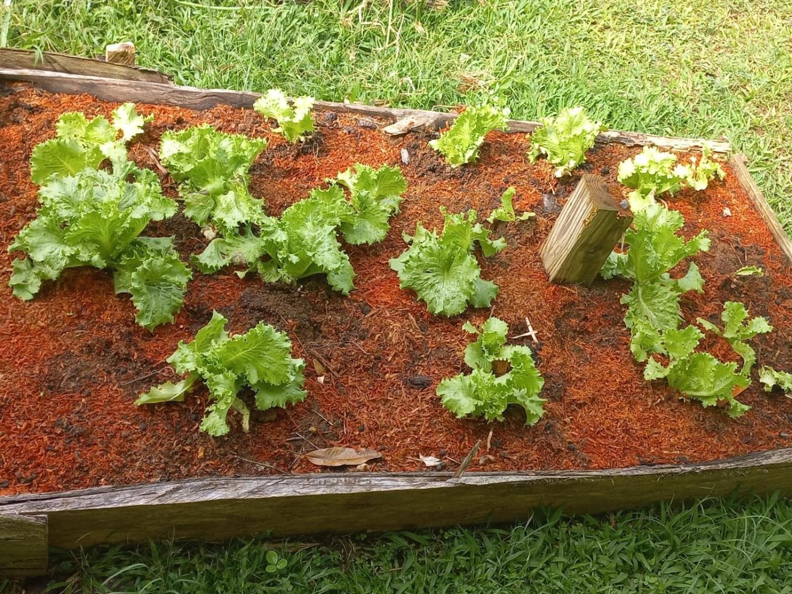 Serenity Lodges Dominica - Photo 37