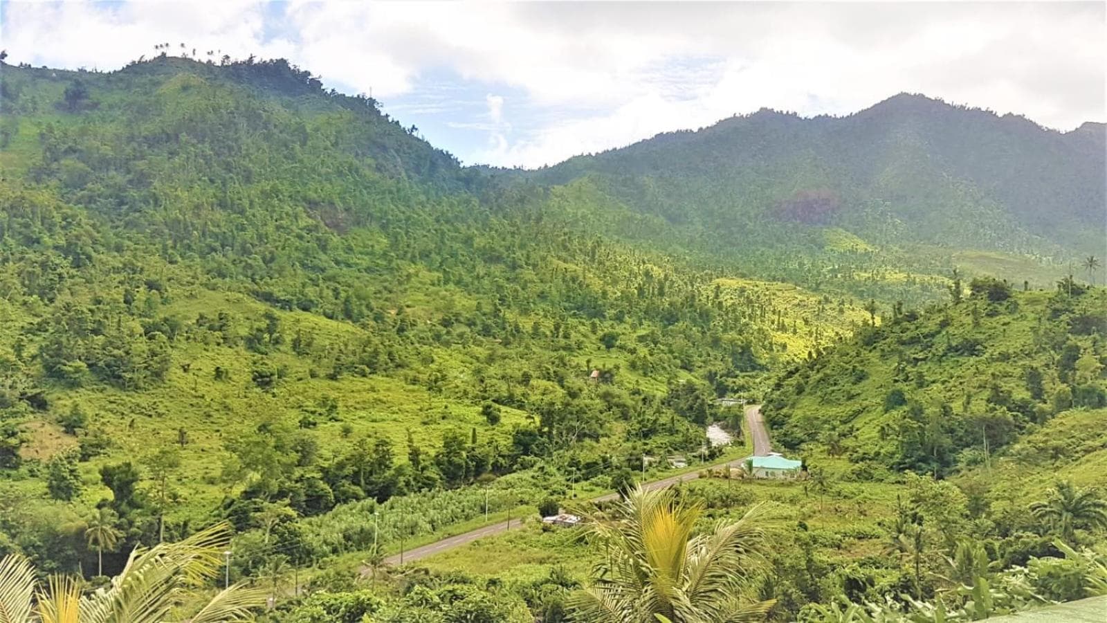 Serenity Lodges Dominica - Photo 18