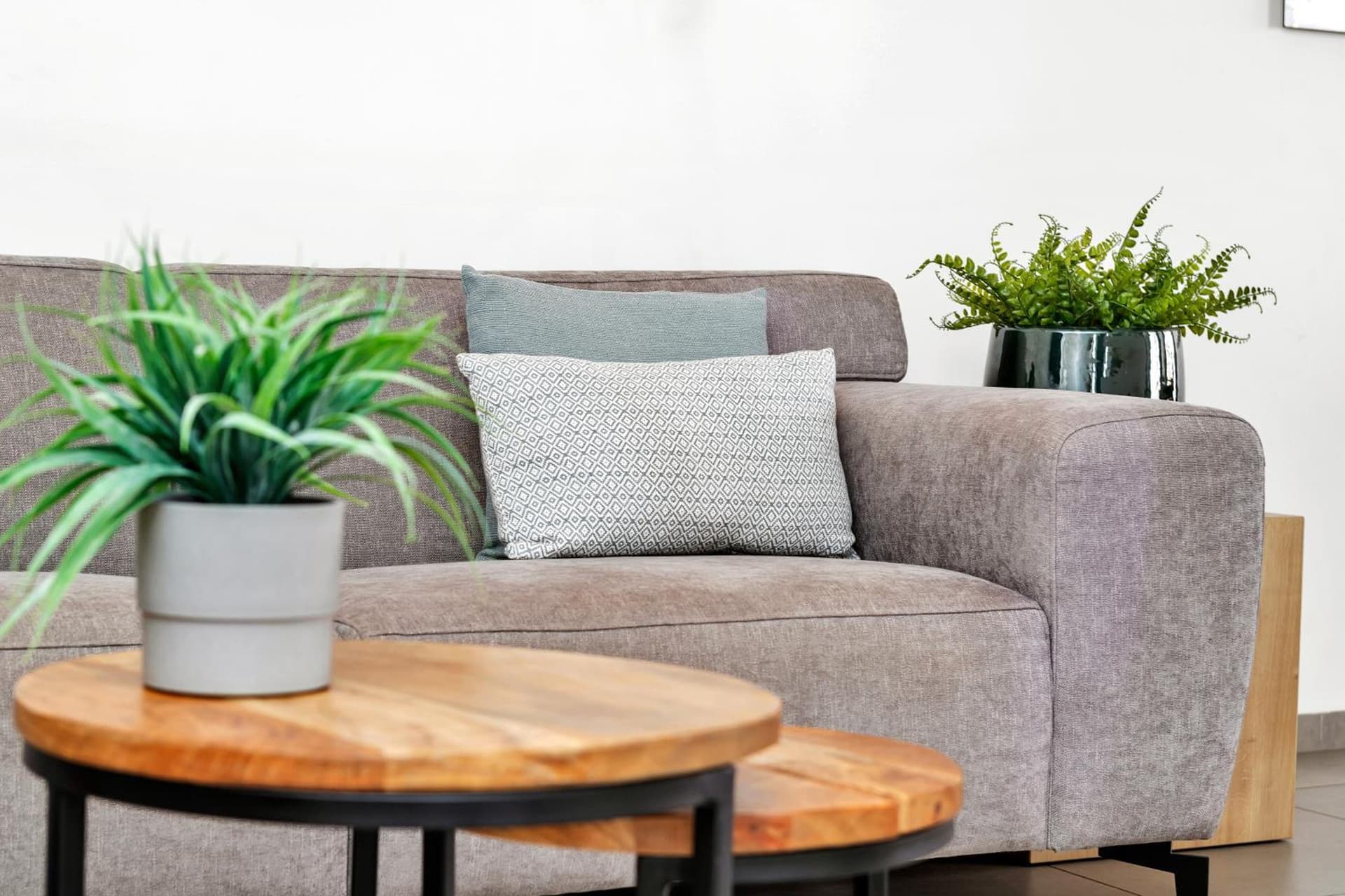 Grand Windsock Bonaire - Photo 155