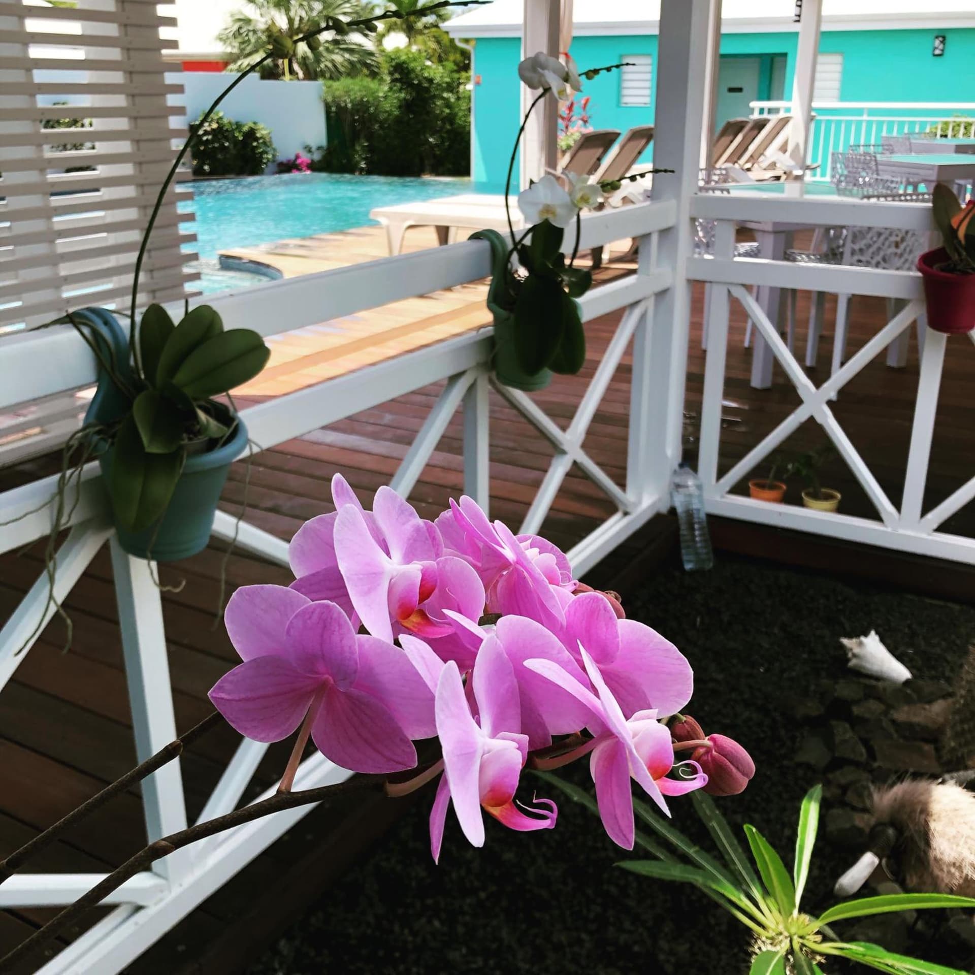 Hôtel La Christophine - Photo 19