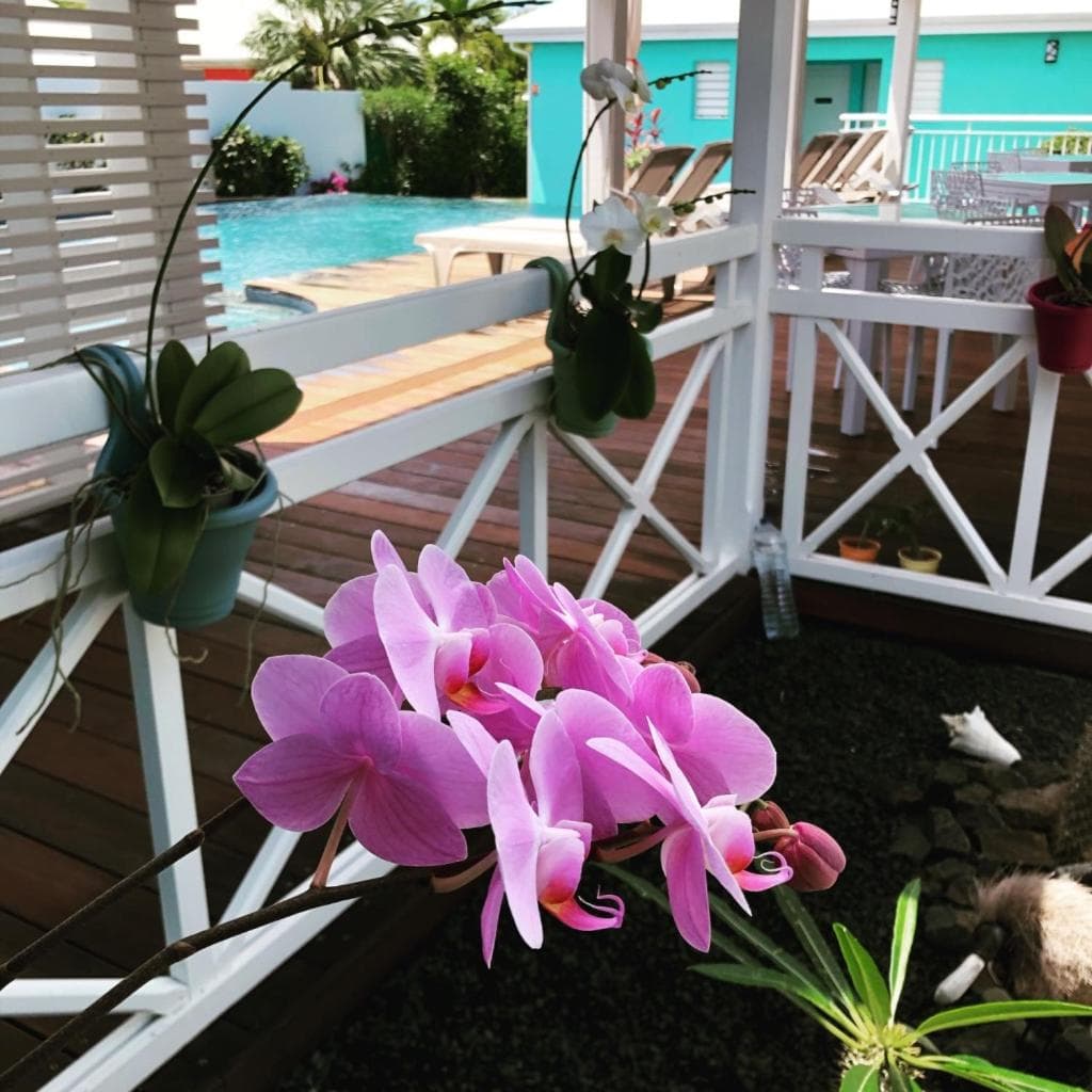 Hôtel La Christophine - Photo 23