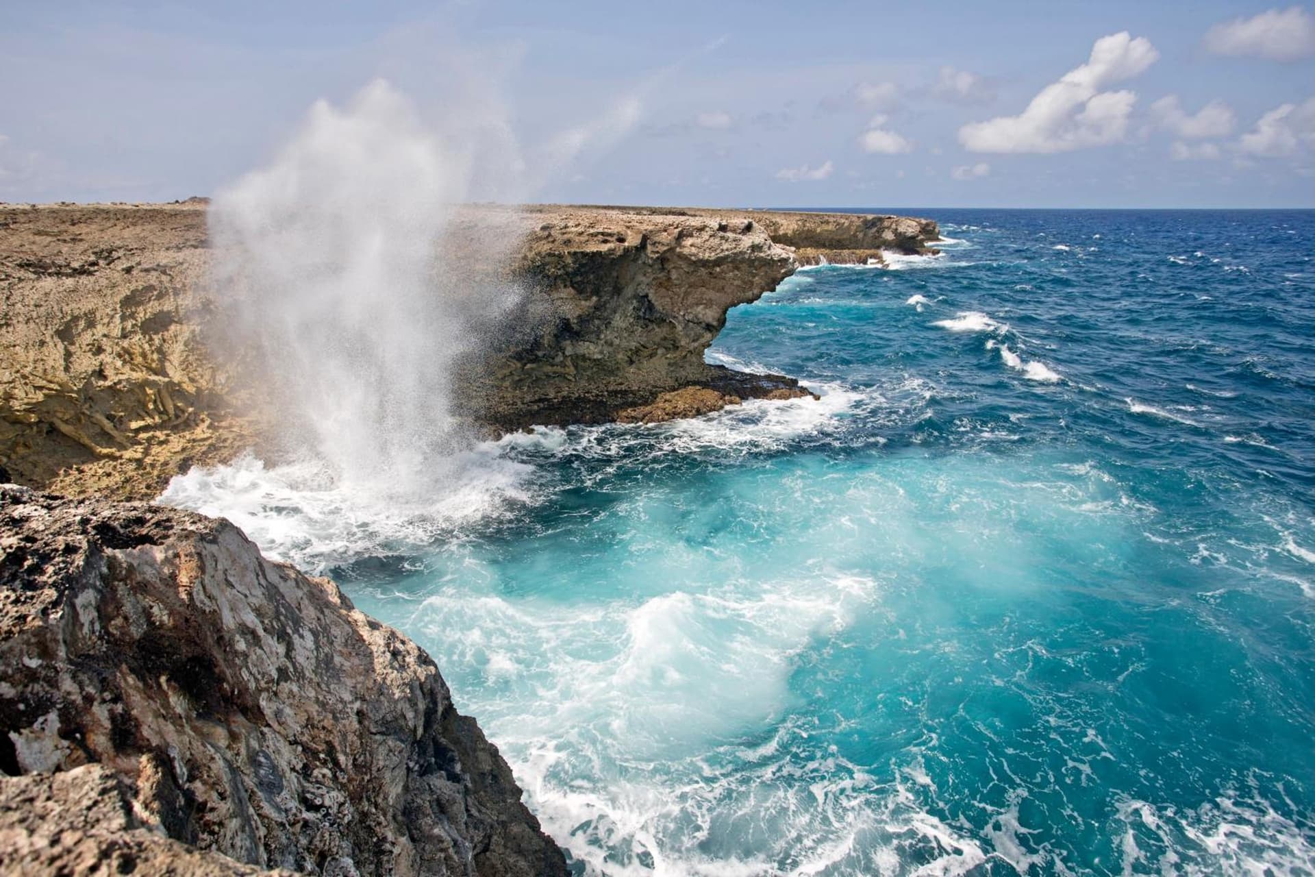 Delfins Beach Resort Bonaire, Tapestry Collection by Hilton - Photo 28