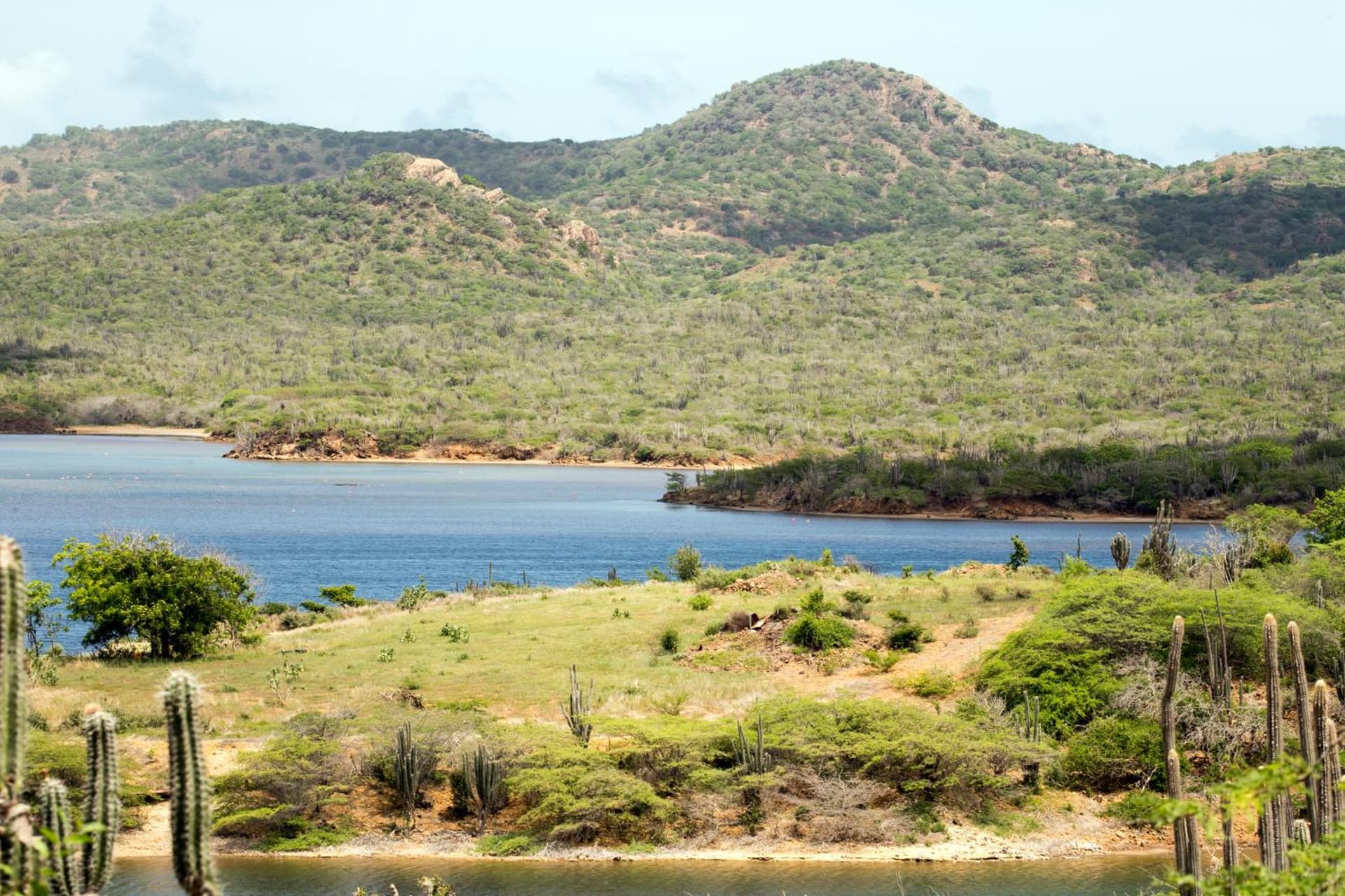 Delfins Beach Resort Bonaire, Tapestry Collection by Hilton - Photo 25