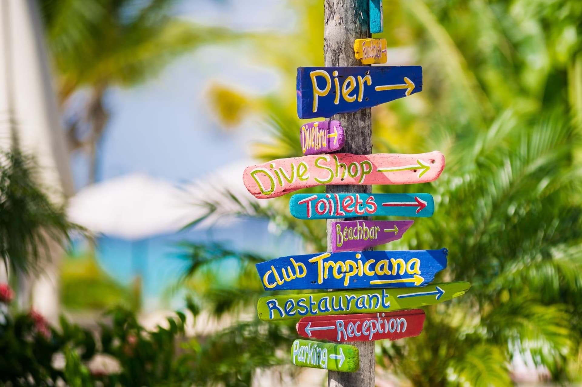 Delfins Beach Resort Bonaire, Tapestry Collection by Hilton - Photo 11