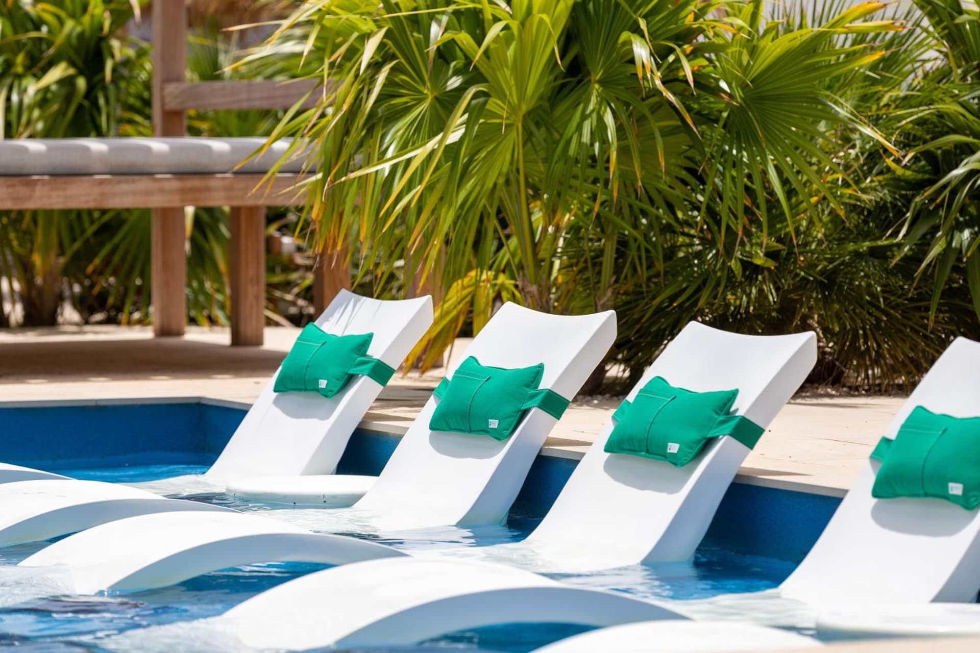 Grand Windsock Bonaire - Photo 177