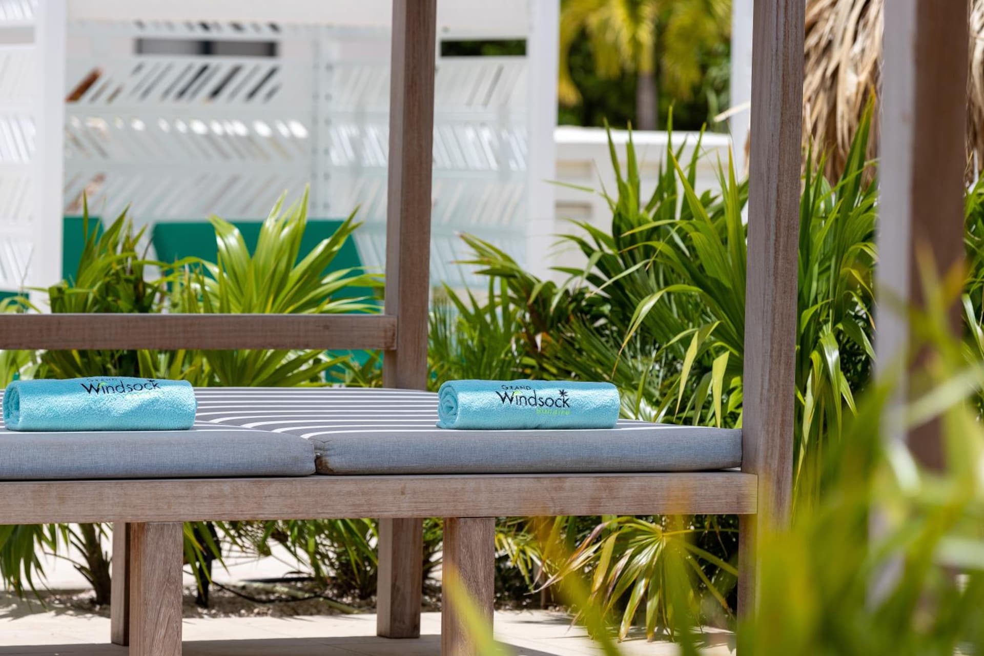 Grand Windsock Bonaire - Photo 175