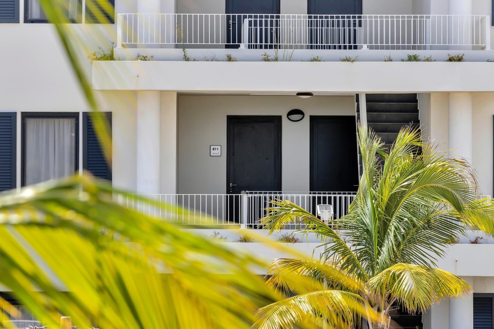 Grand Windsock Bonaire - Photo 261