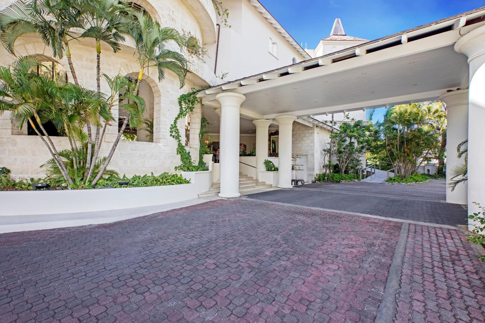 Bougainvillea Barbados - Photo 19