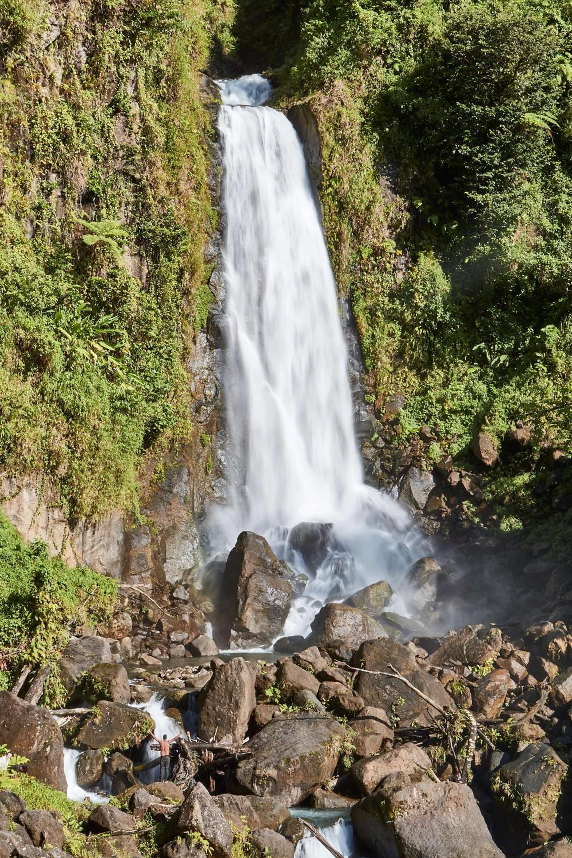 InterContinental Dominica Cabrits Resort & Spa by IHG - Photo 6