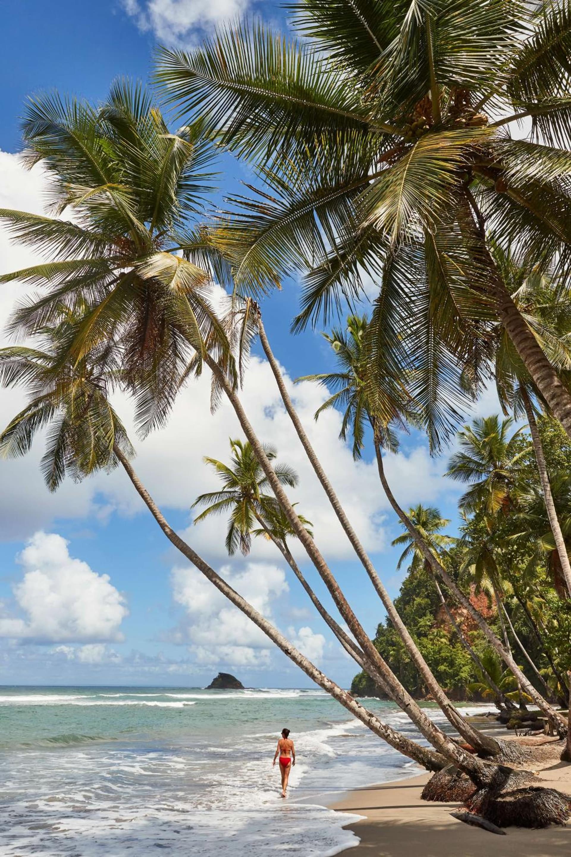 InterContinental Dominica Cabrits Resort & Spa by IHG - Photo 195