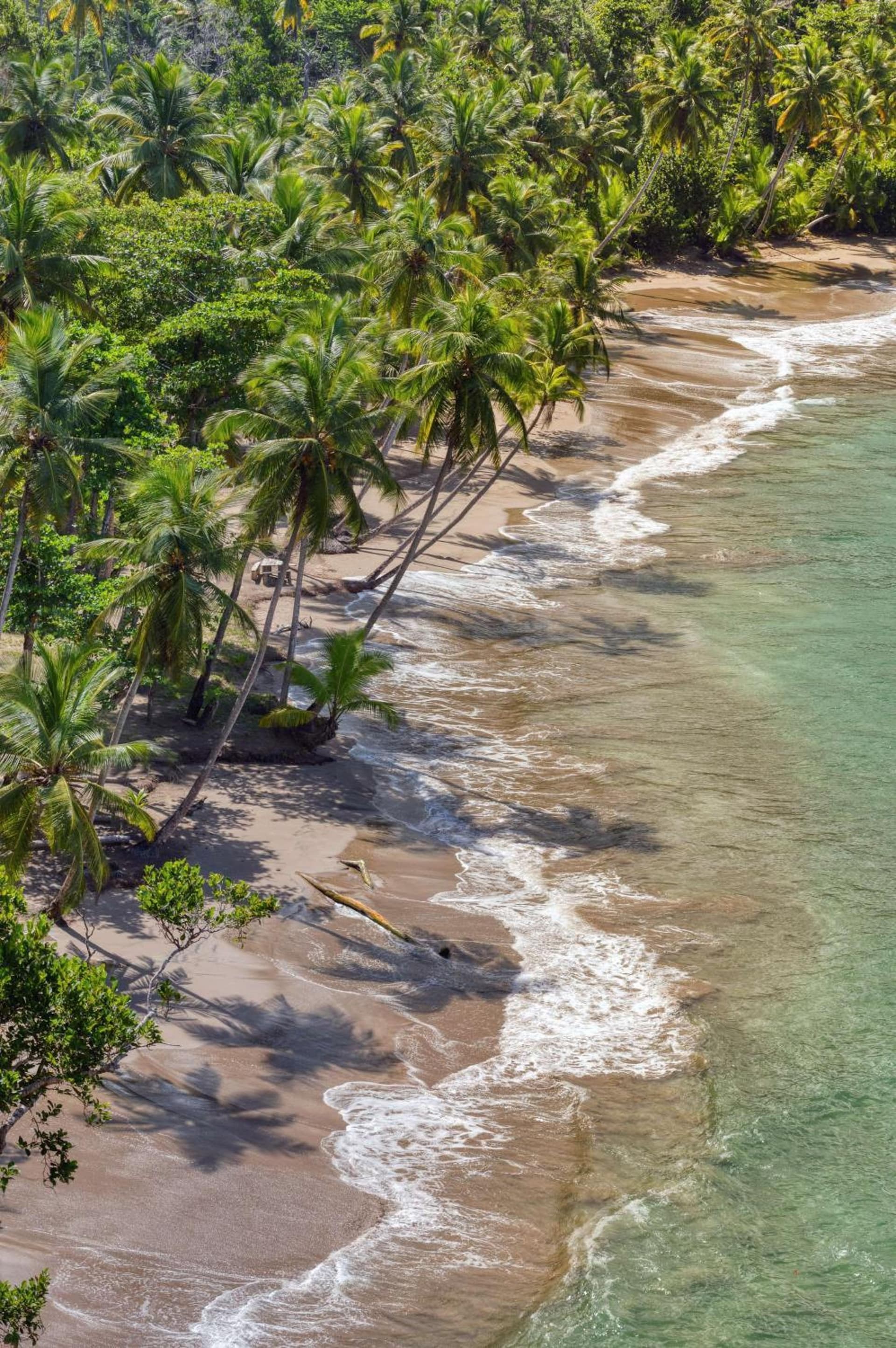 InterContinental Dominica Cabrits Resort & Spa by IHG - Photo 196