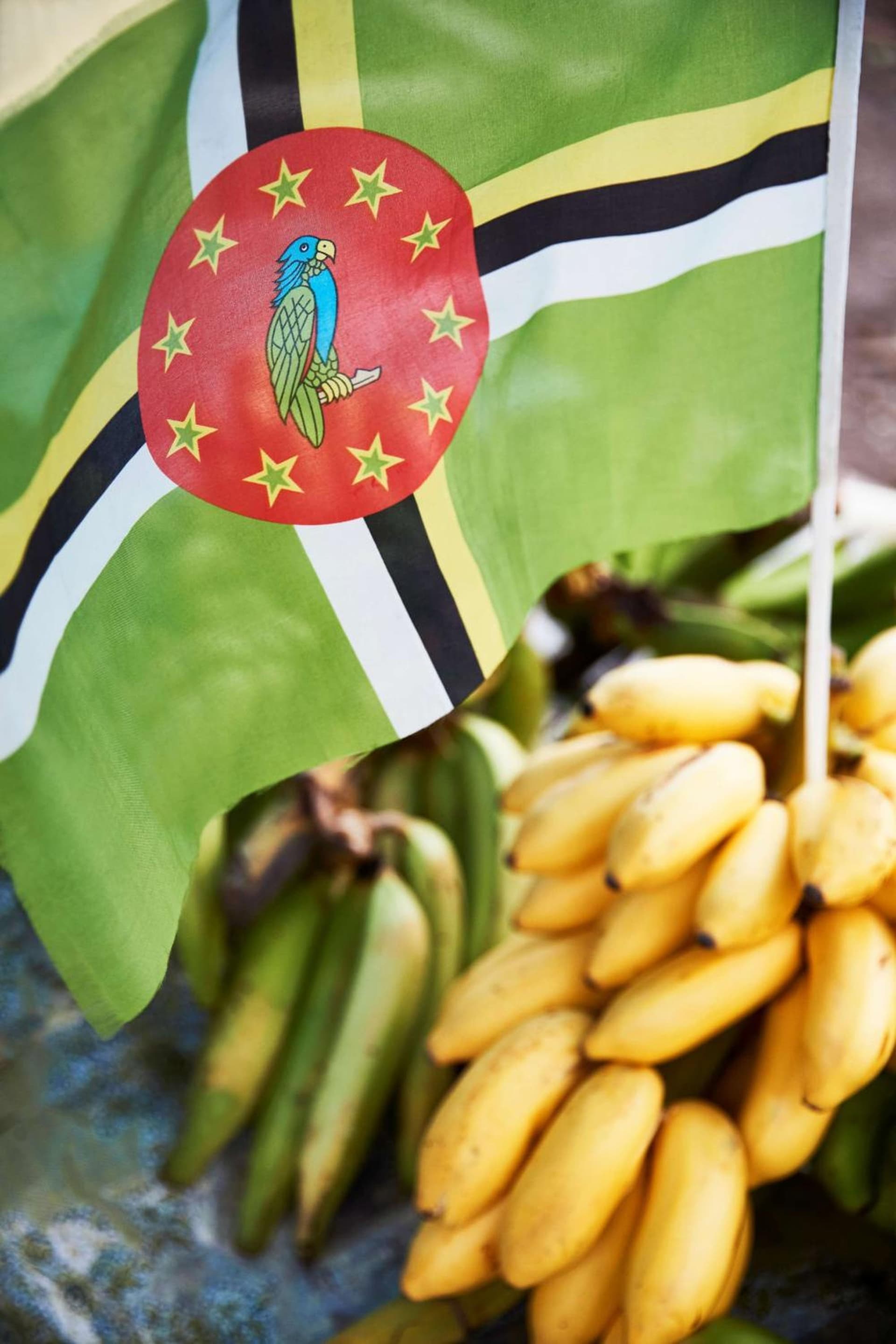 InterContinental Dominica Cabrits Resort & Spa by IHG - Photo 209