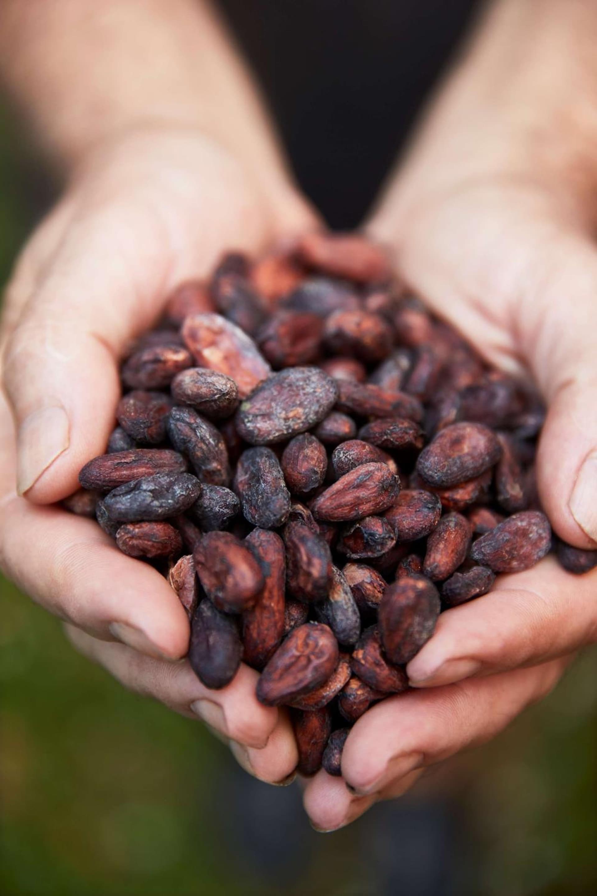 InterContinental Dominica Cabrits Resort & Spa by IHG - Photo 208