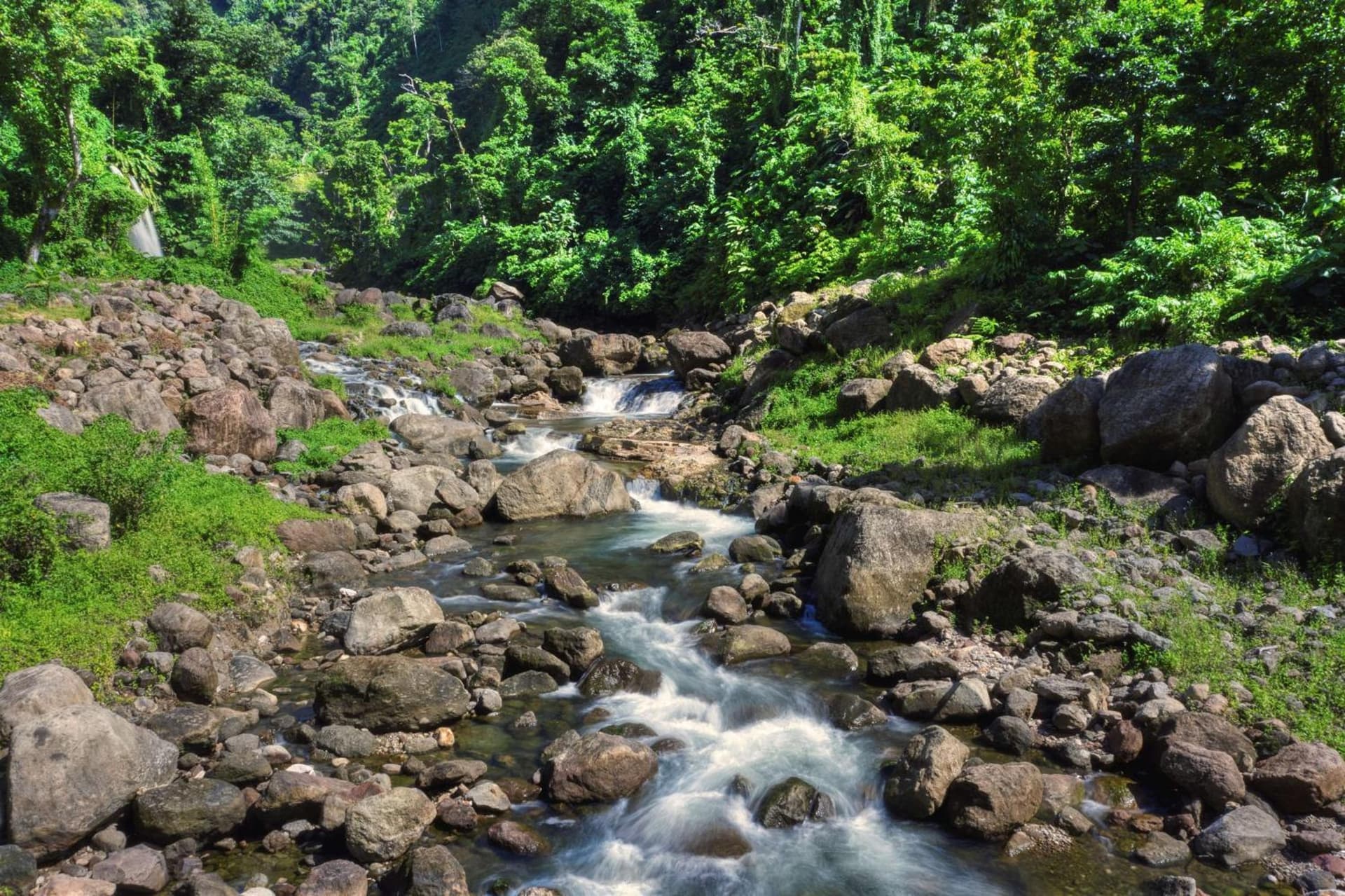 InterContinental Dominica Cabrits Resort & Spa by IHG - Photo 215