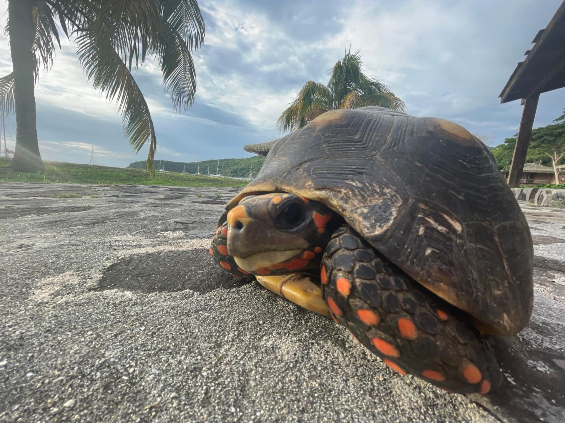 Tenuta Chatham Bay - Photo 41