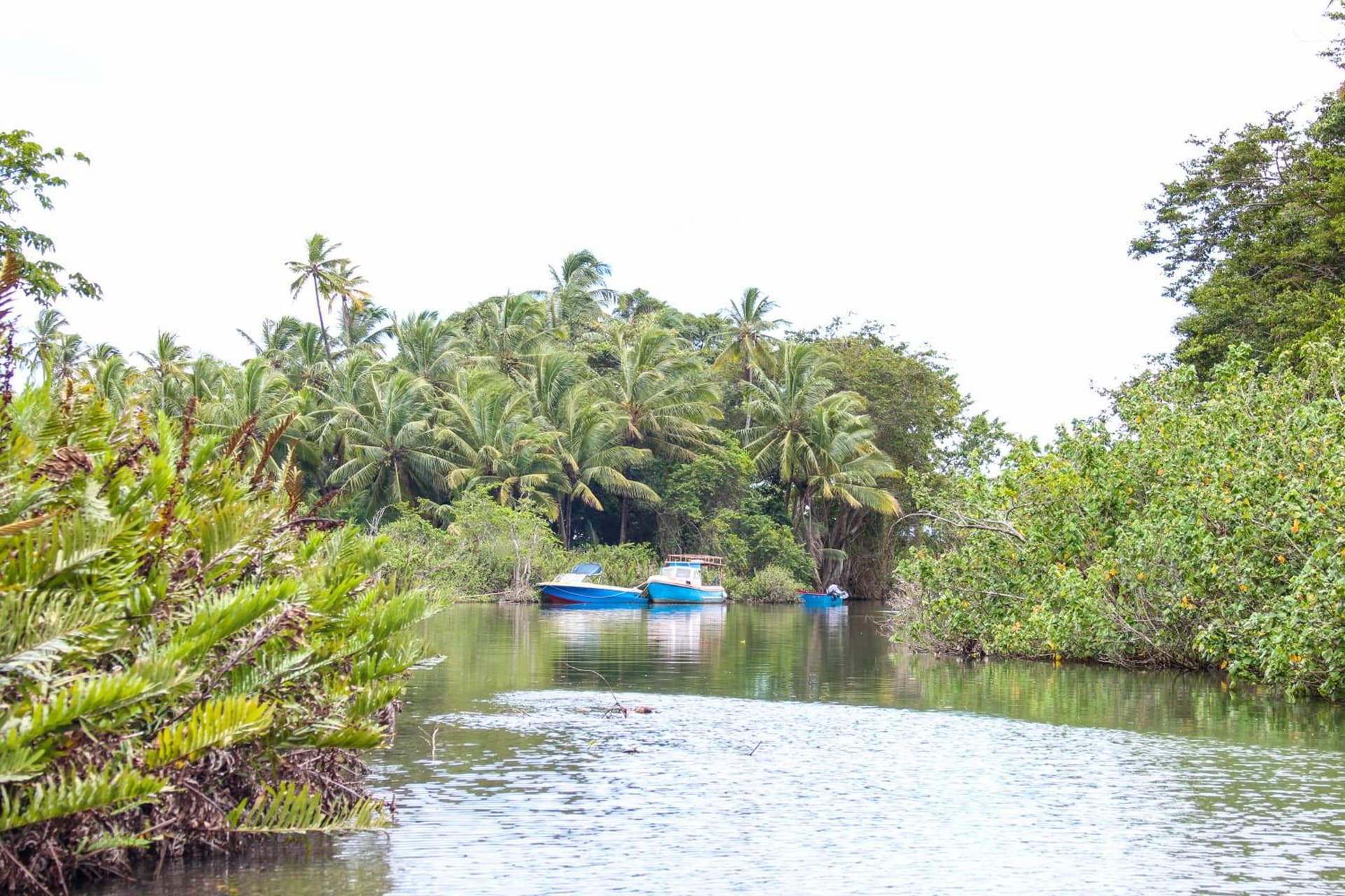 The Champs - Photo 57