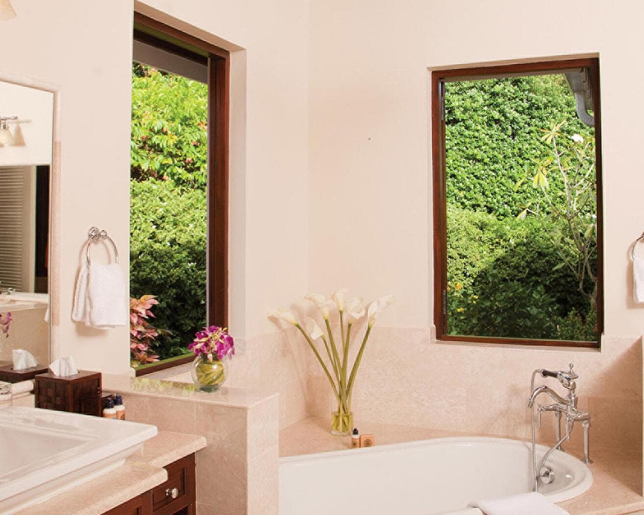 Four Seasons Resort Nevis - Photo 83