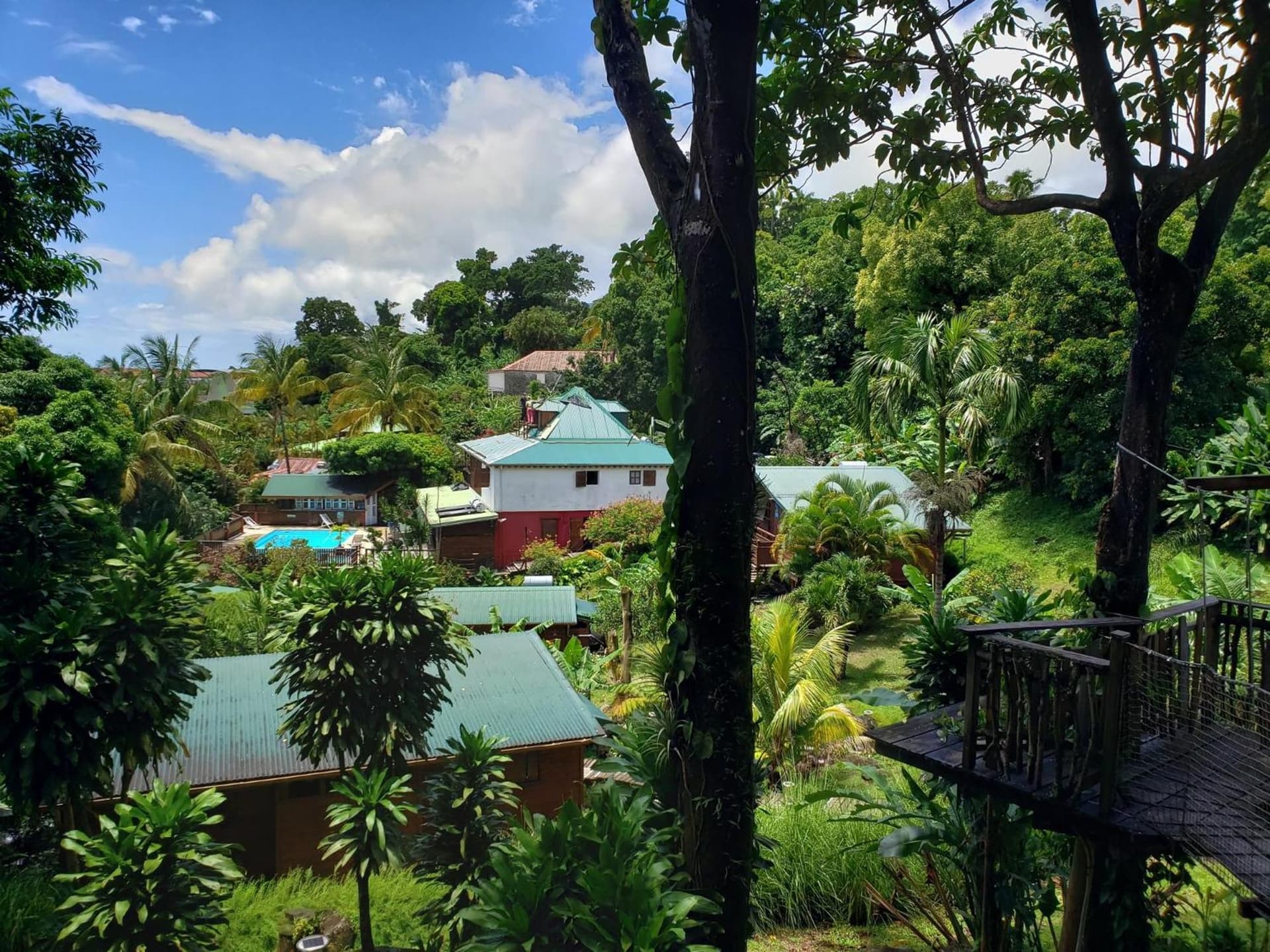 Les Bananes Vertes Ecolodges - Photo 127