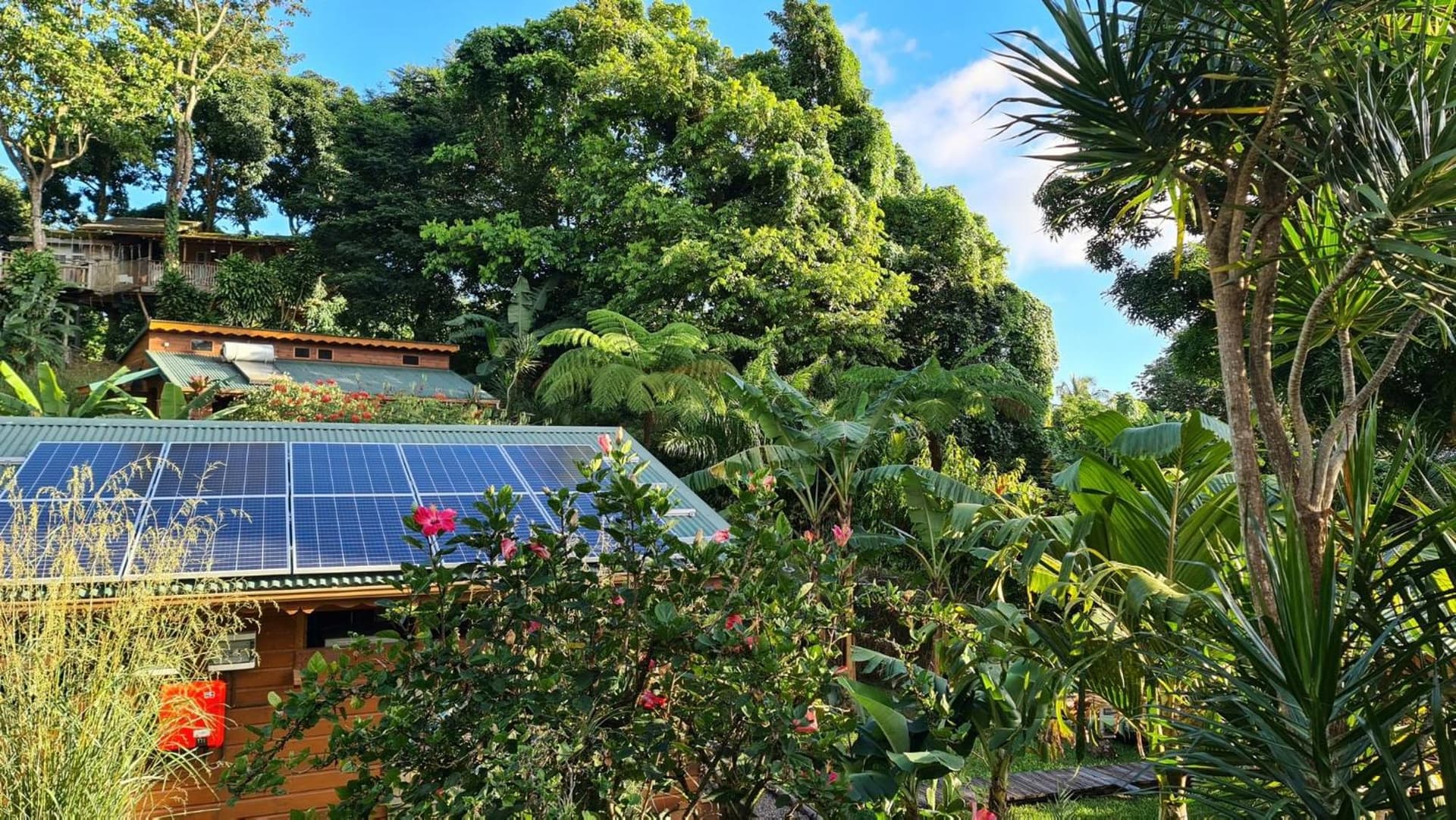 Les Bananes Vertes Ecolodges - Photo 137