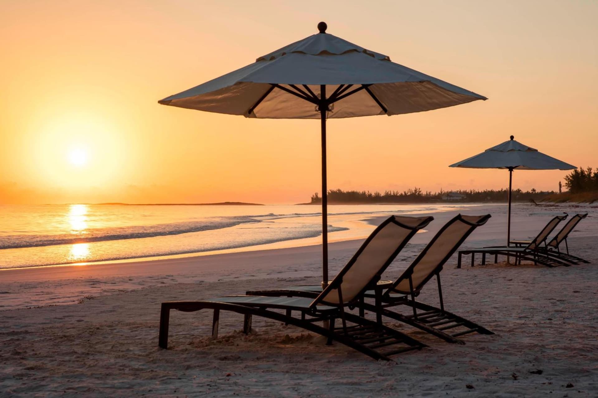 French Leave Resort, Autograph Collection - Photo 38