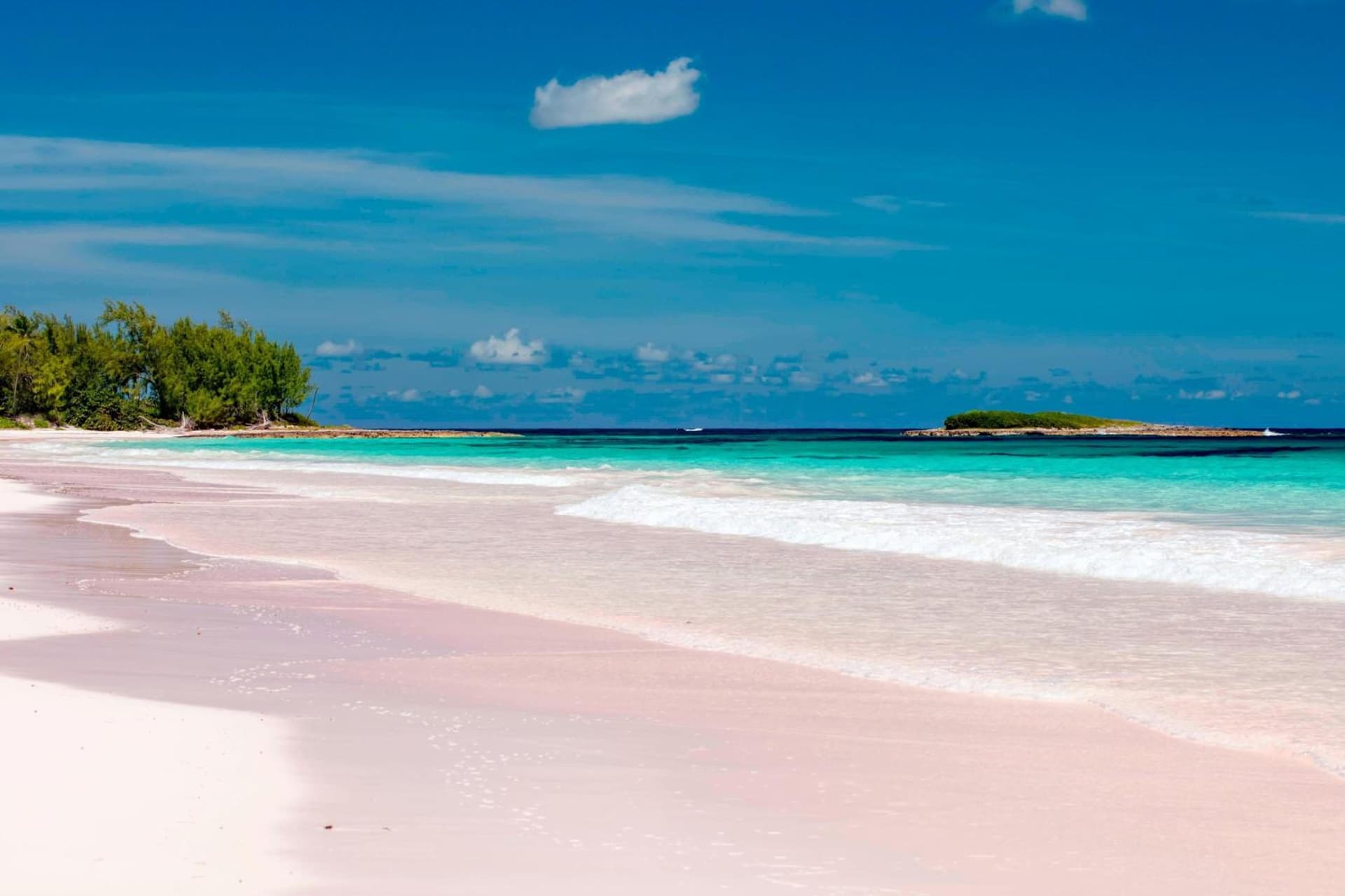 French Leave Resort, Autograph Collection - Photo 54