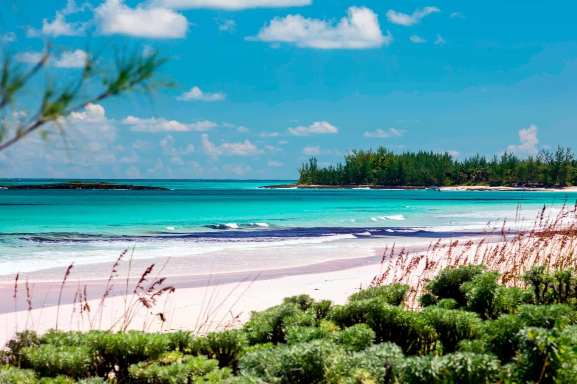 French Leave Resort, Autograph Collection - Photo 53